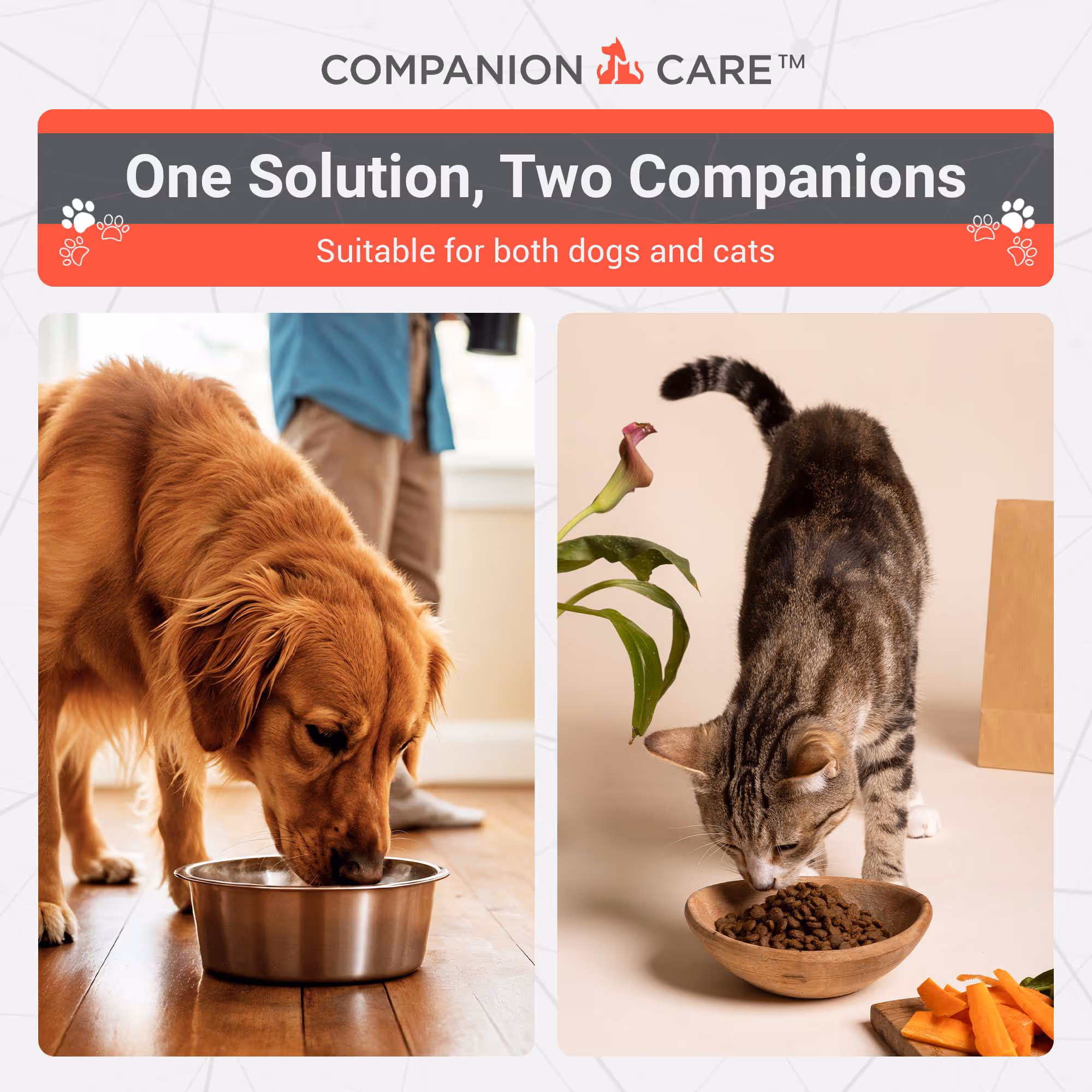 One solution, two companions