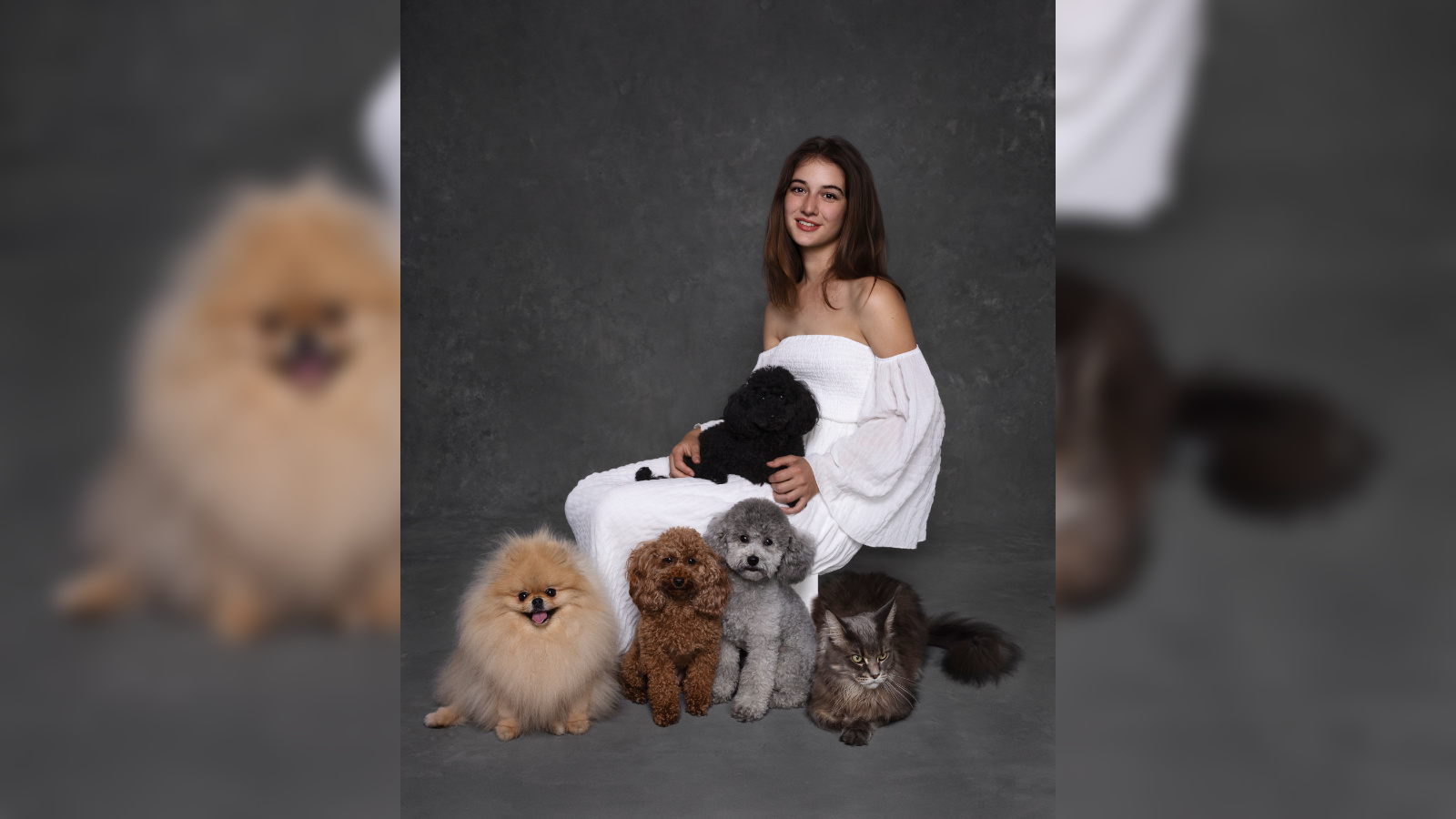 Ritratto di animali domestici in studio a Bologna – Fotografa Claudia Spaziani – Persona in abito bianco circondata da cinque cani di razze diverse e un gatto a pelo lungo, sfondo grigio scuro testurizzato, servizio fotografico professionale.