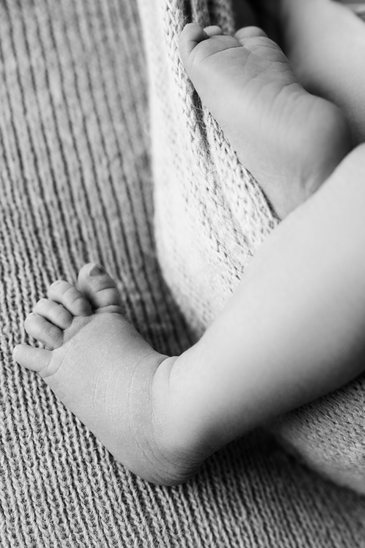 Servizio newborn a Bologna firmato Claudia Spaziani: dettaglio artistico in bianco e nero dei piedini di un neonato.