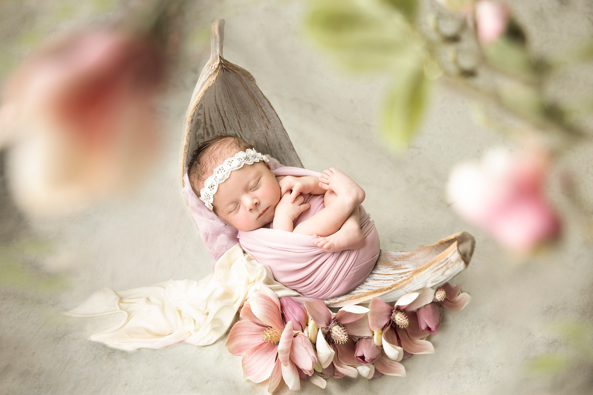 Ritratto di neonato avvolto in morbido tessuto rosa, con fascia di pizzo bianco, fotografato nello studio di Claudia Spaziani a Bologna. Ambientazione naturale con fiori di magnolia che esaltano la delicatezza e la serenità del momento.