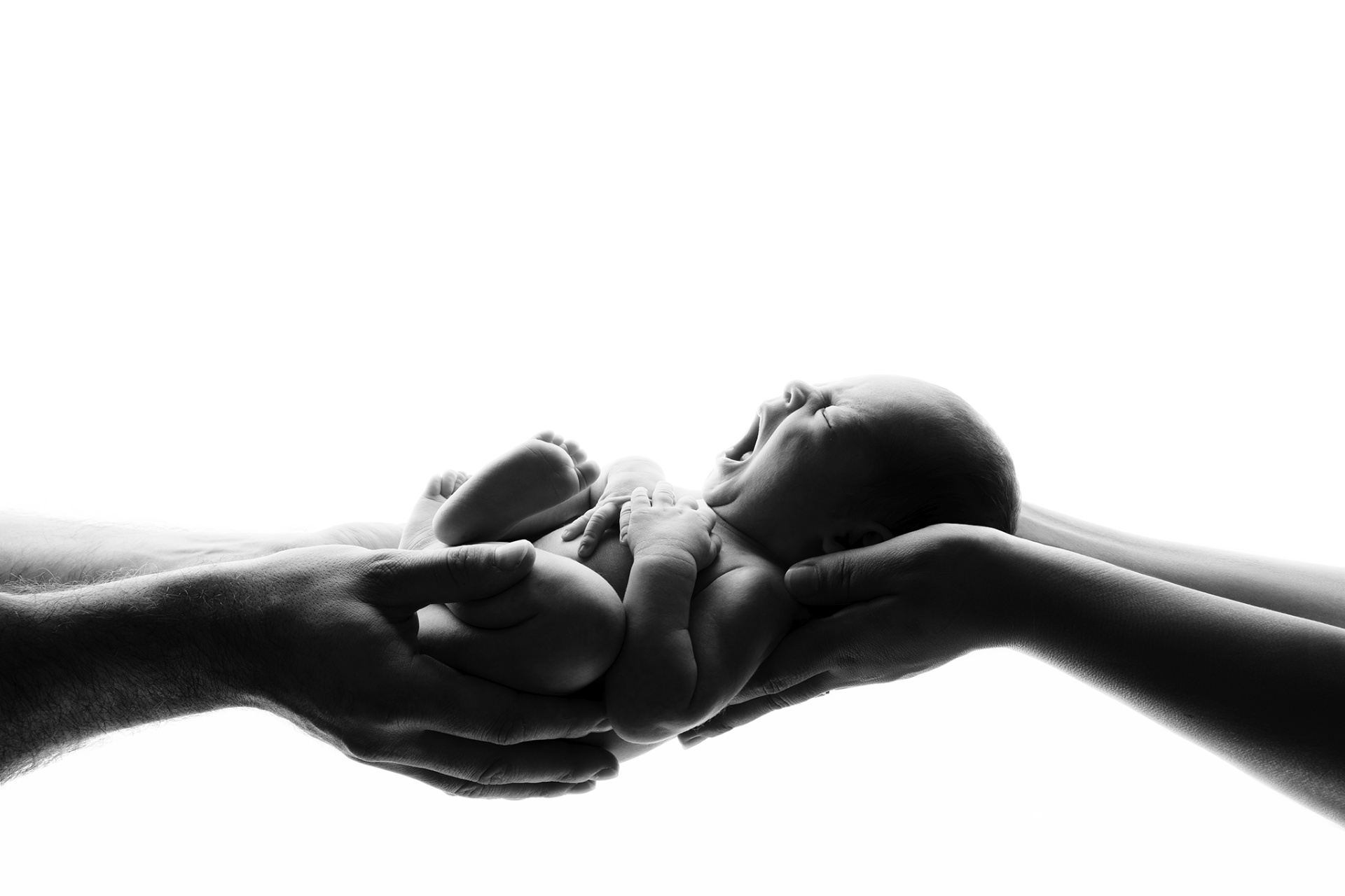 Foto artistica in bianco e nero di neonata sorretta da più mani adulte, realizzata da Claudia Spaziani fotografa a Bologna. Immagine intensa che simboleggia cura e protezione.