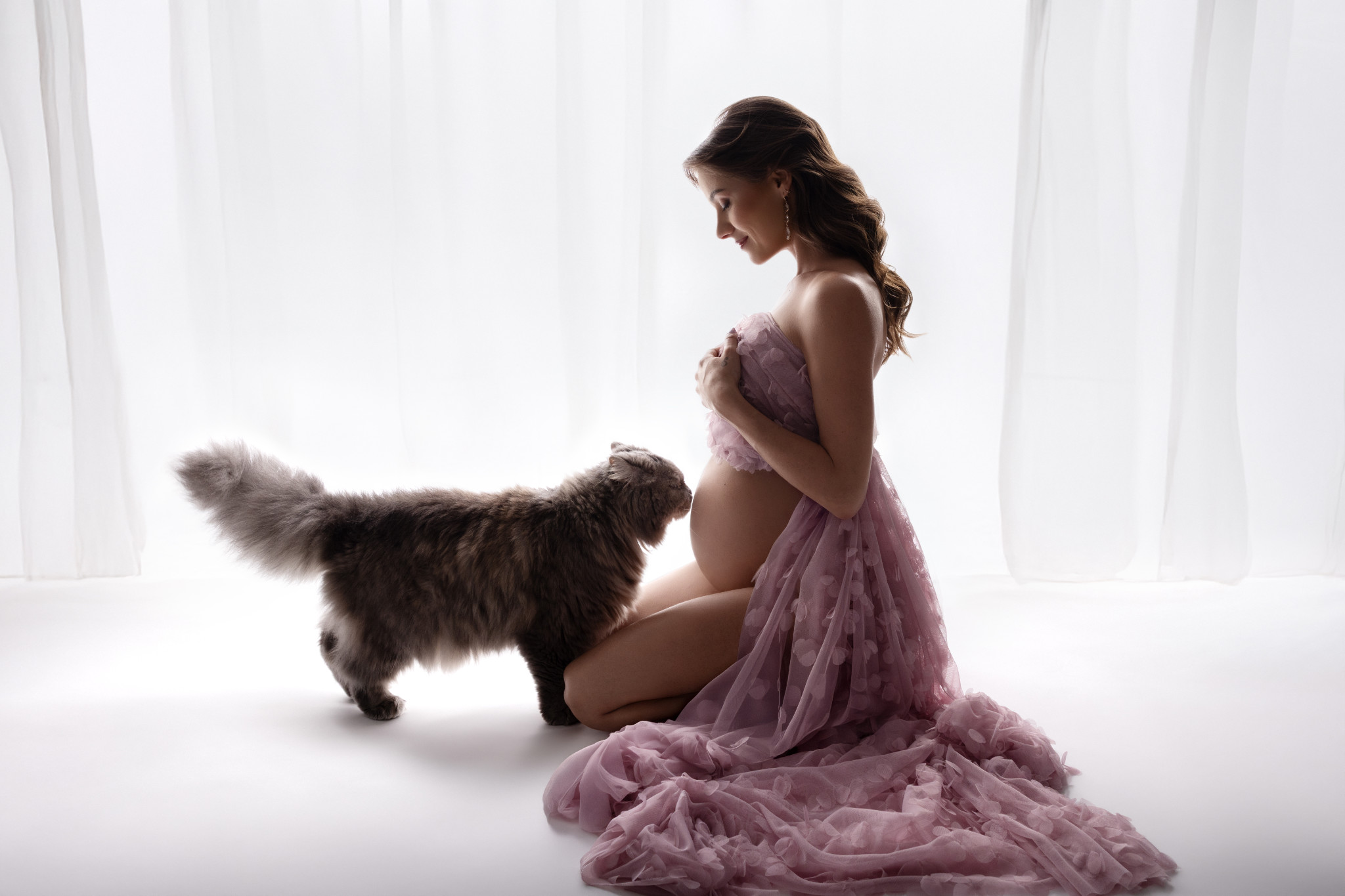 Futura mamma seduta in abito di tulle rosa davanti a tende bianche luminose, un gatto a pelo lungo avvicina il muso al pancione. Servizio maternità a Bologna.