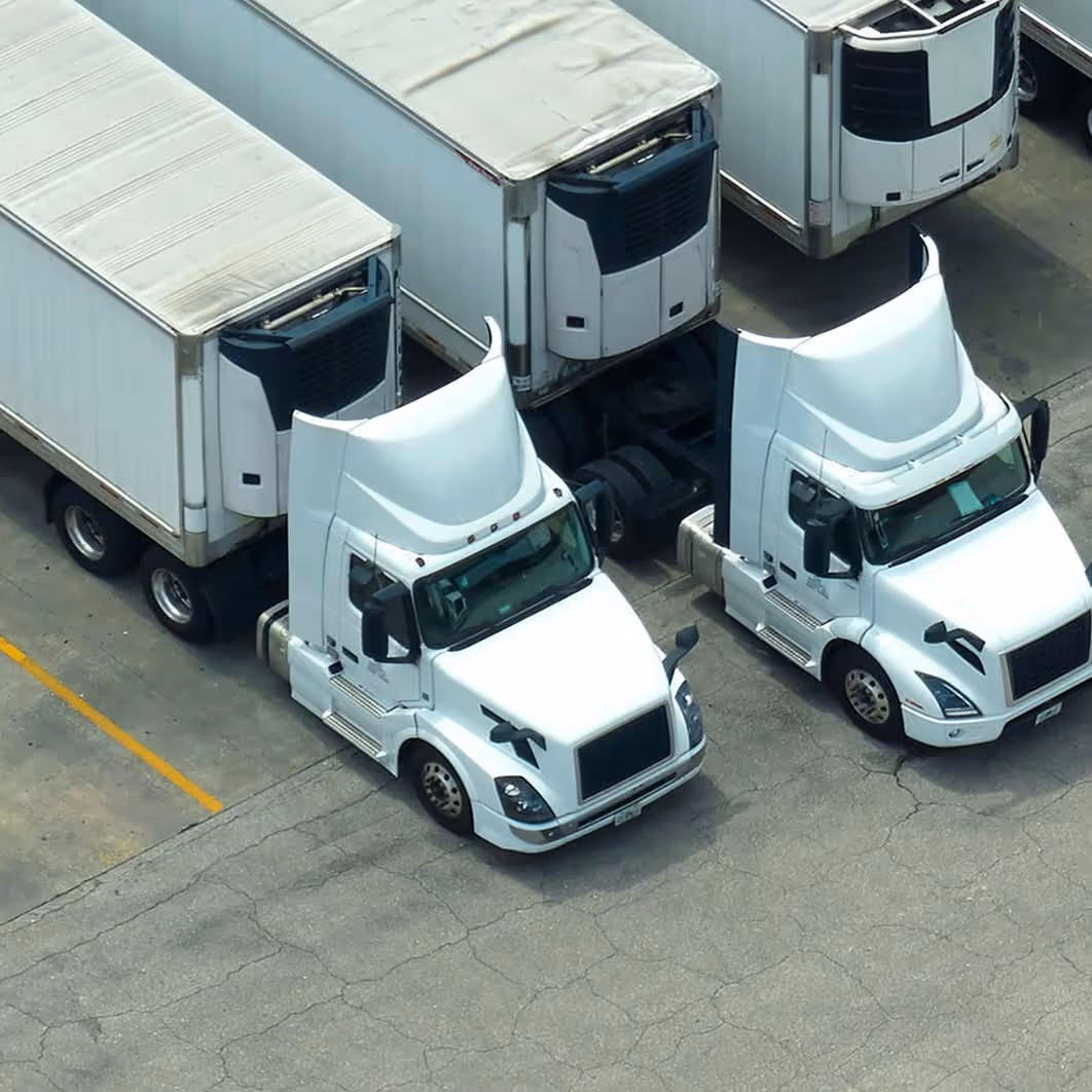 SFL white semi trucks parked together on cracked concrete lot