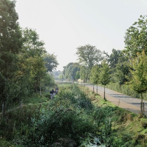 foto: Juan José Palma-Alzarez