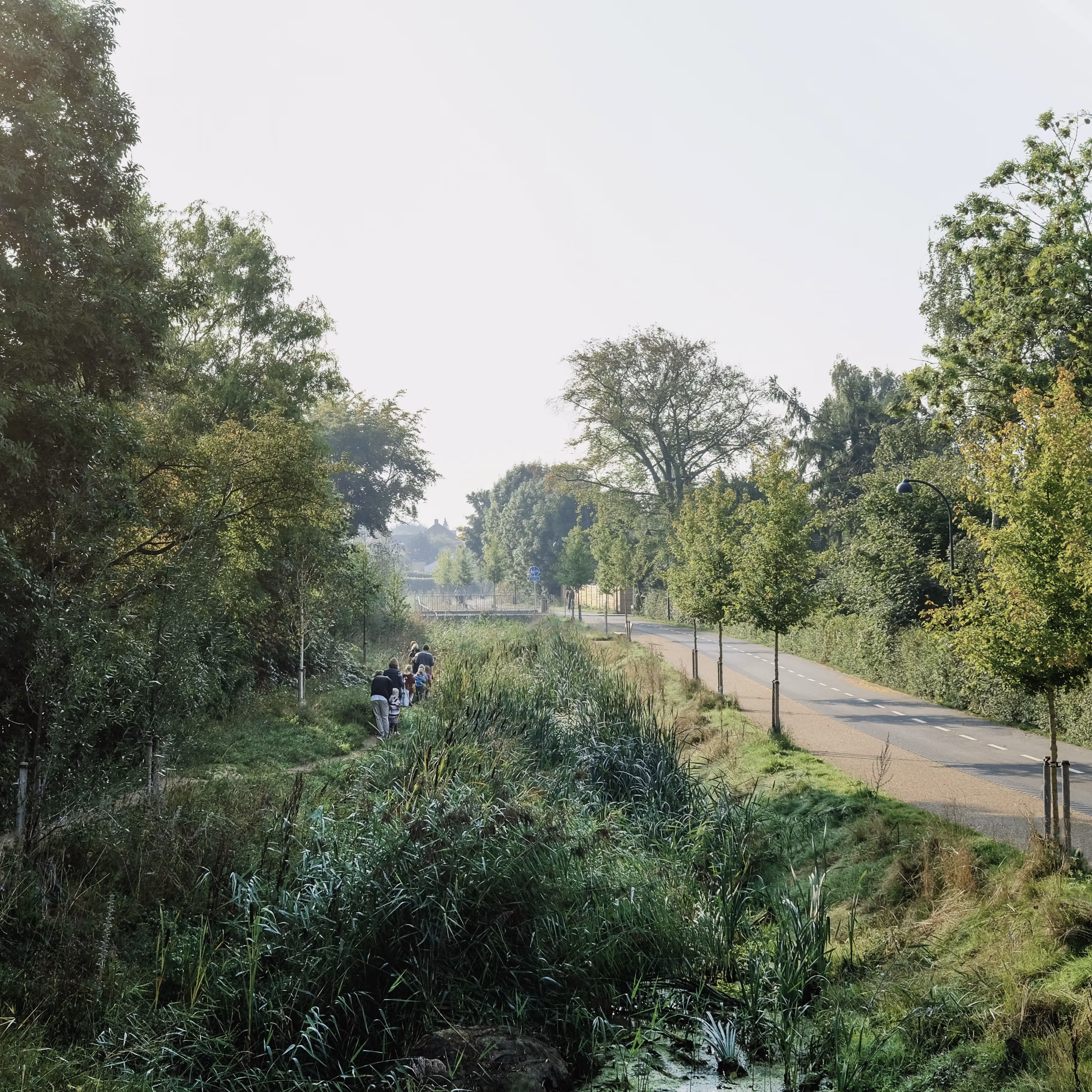 Foto: Juan José Palma-Alvarez