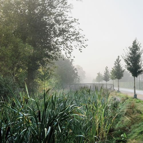 foto: Juan José Palma-Alzarez