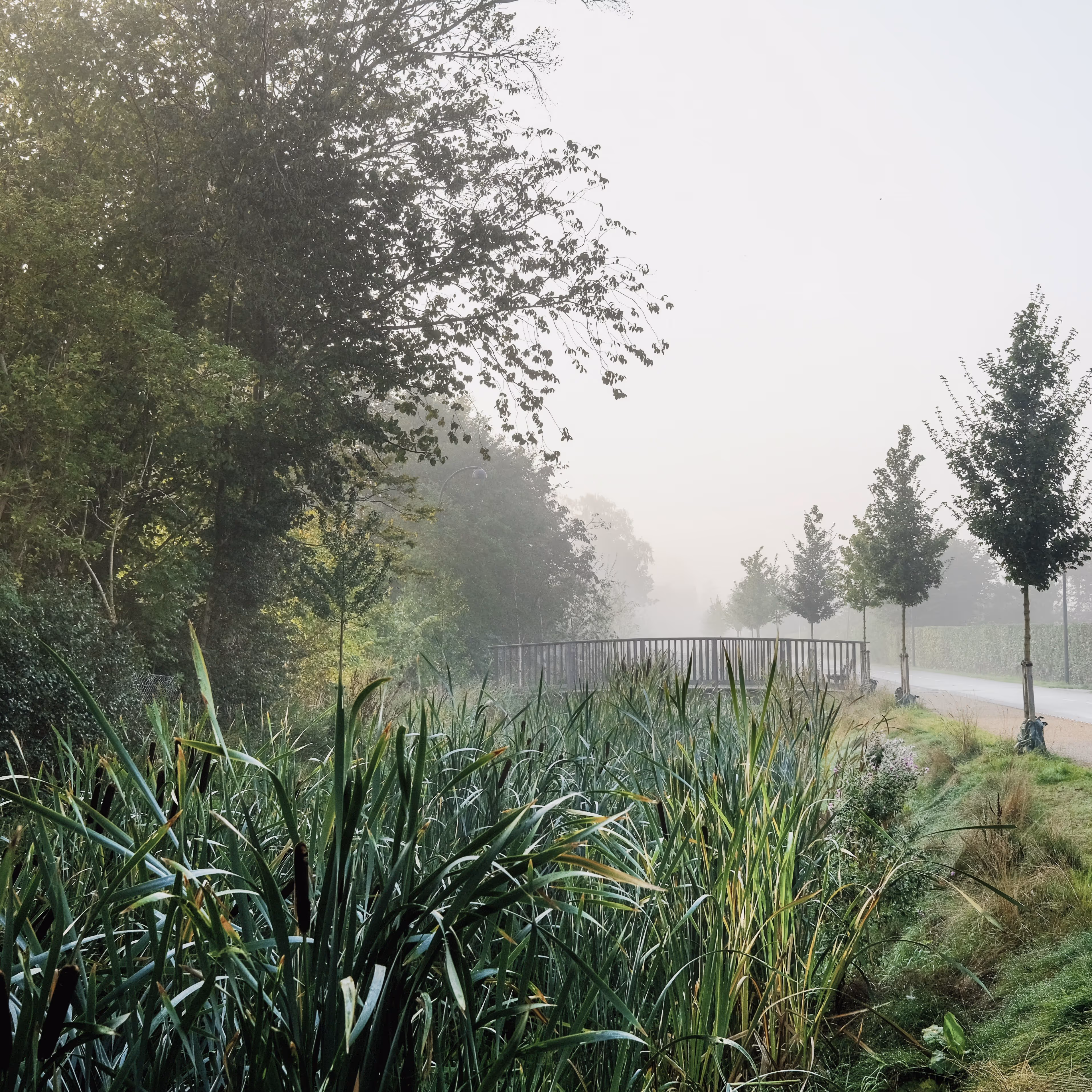 Foto: Juan José Palma-Alvarez