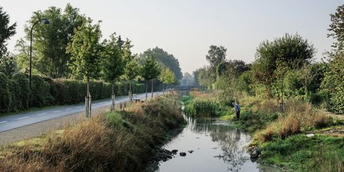 foto: Juan José Palma-Alzarez