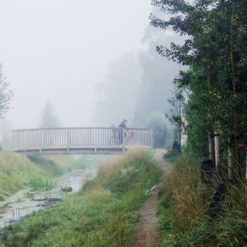 foto: Juan José Palma-Alzarez