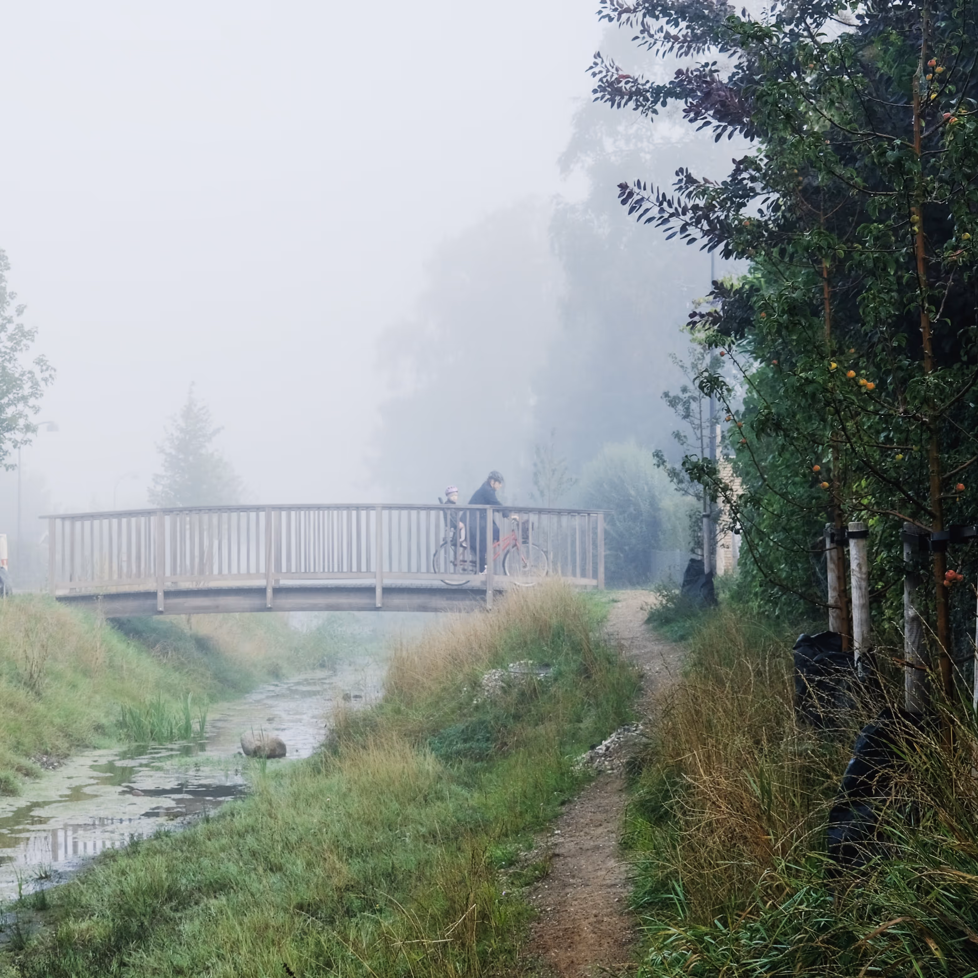 Foto: Juan José Palma-Alvarez