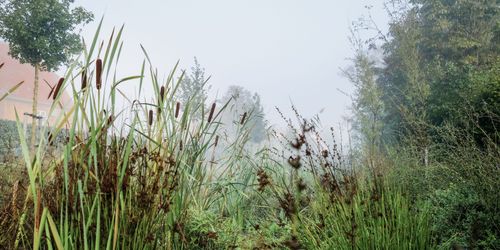 foto: Juan José Palma-Alzarez