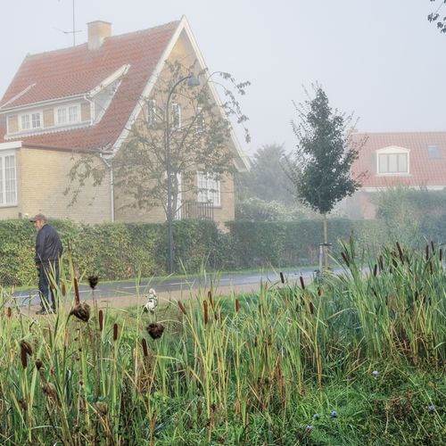 foto: Juan José Palma-Alzarez