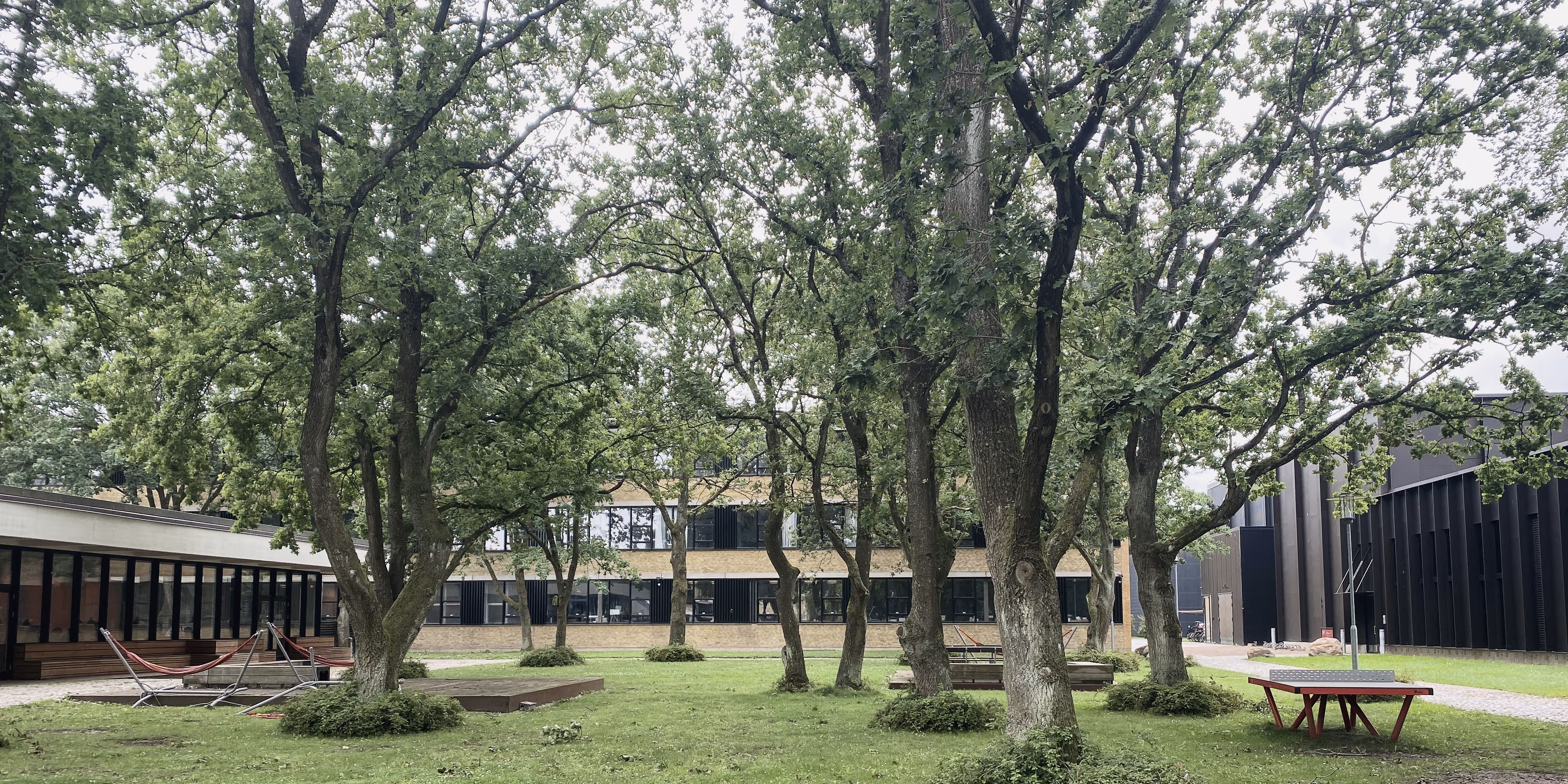 Campus Lyngby, foto: Stine Jørgensen