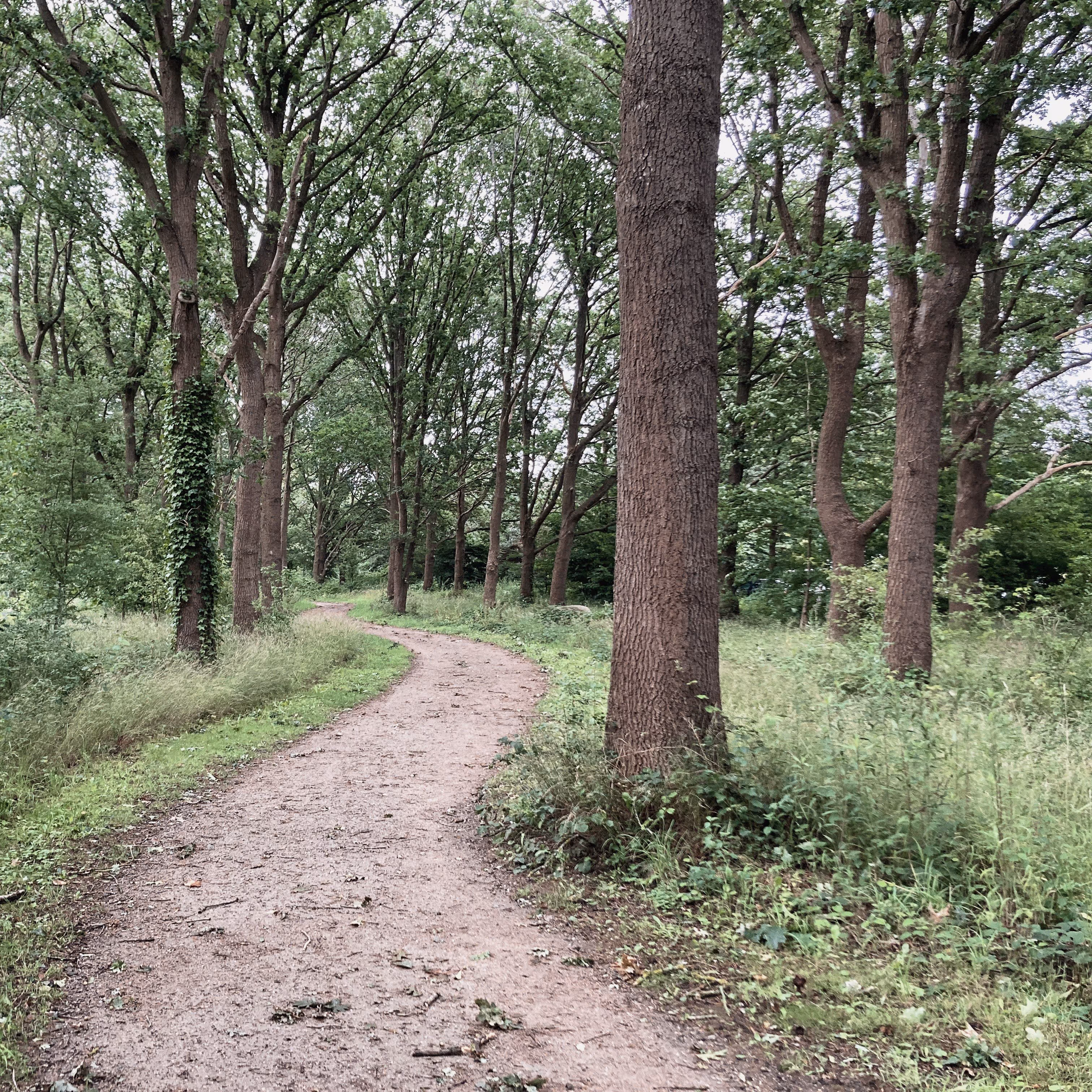 Campus Lyngby, foto: Sofie Svitzer Lyngbye