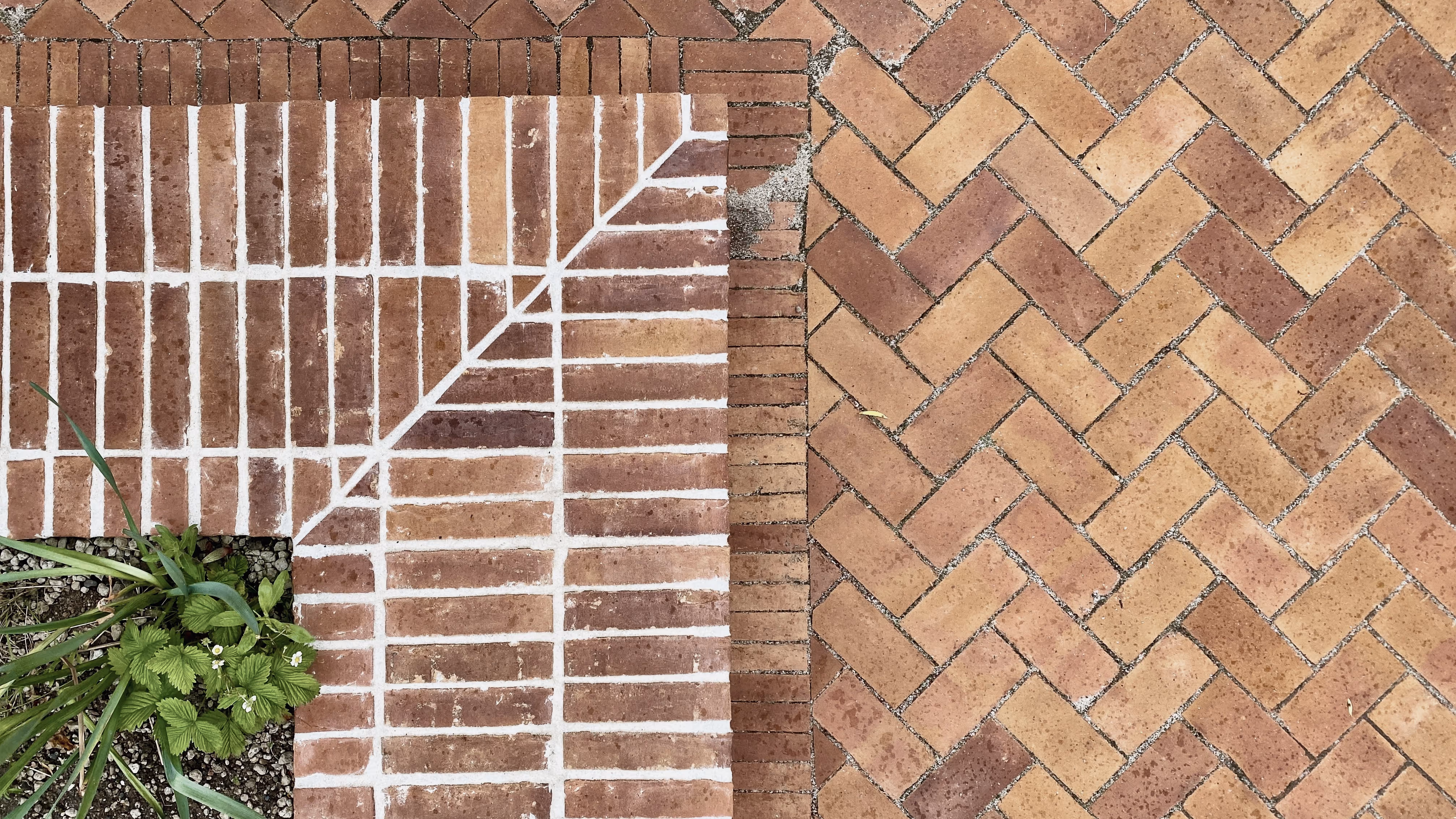 Foto: Stine Jørgensen