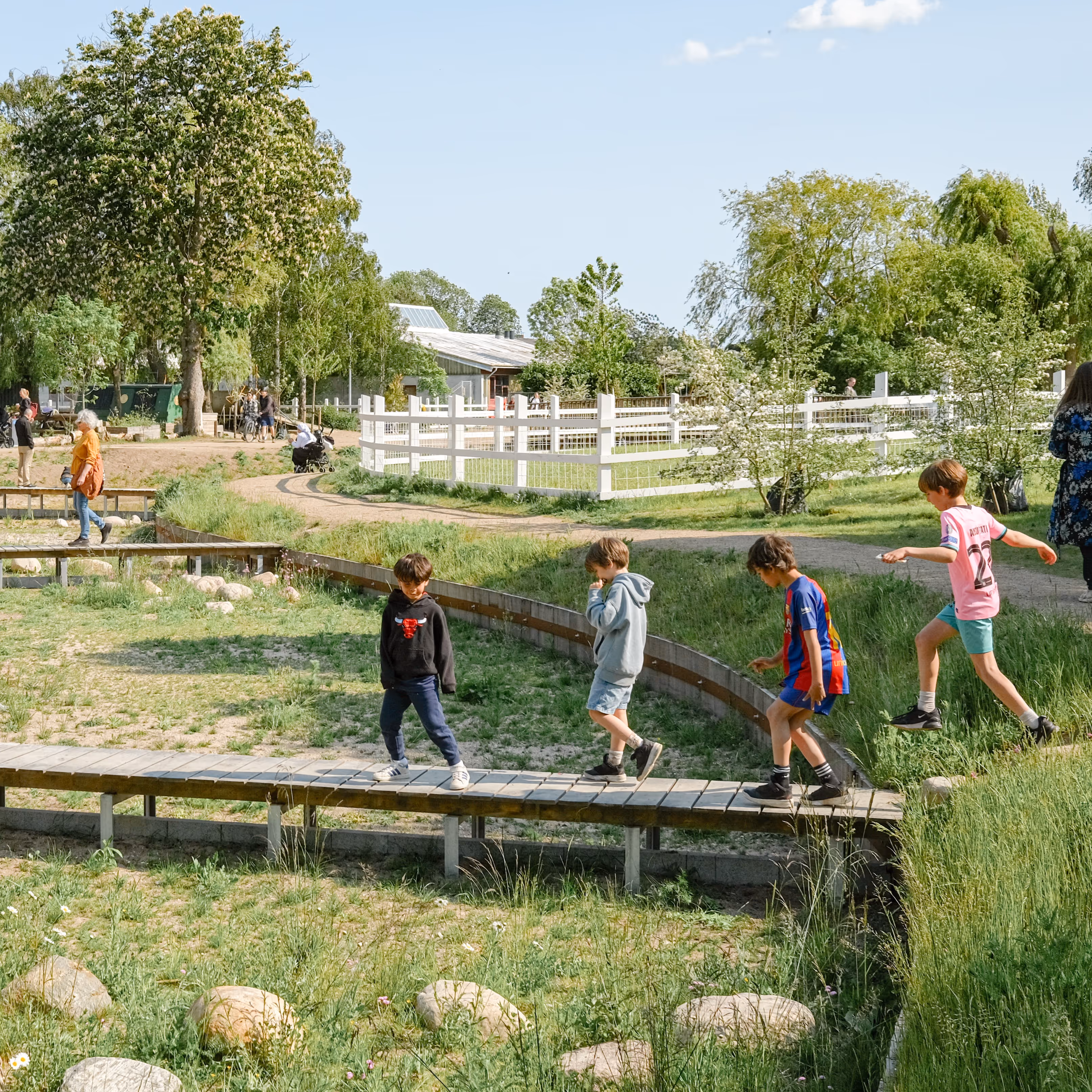 foto: Juan José Palma-Alvarez