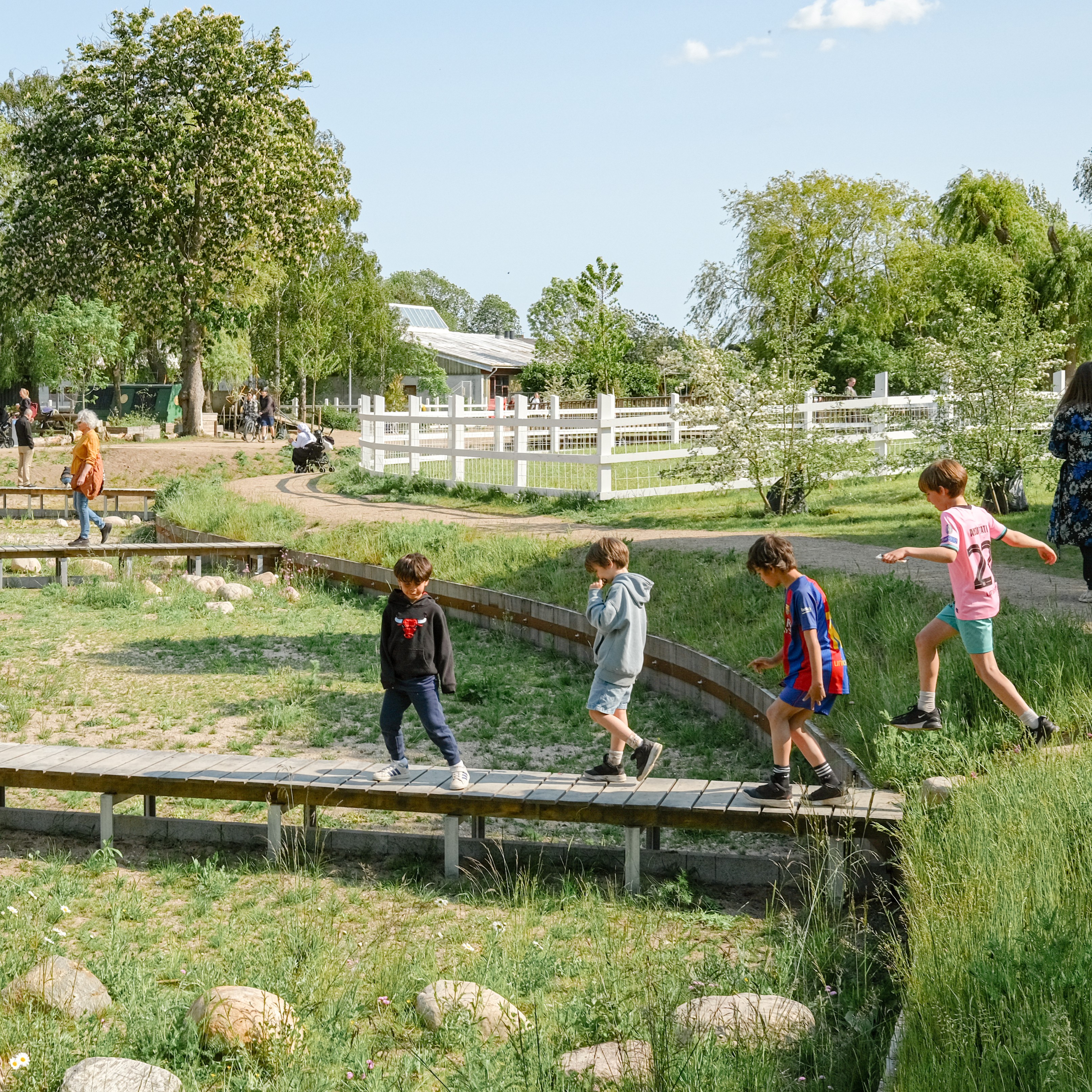 foto: Juan José Palma-Alvarez