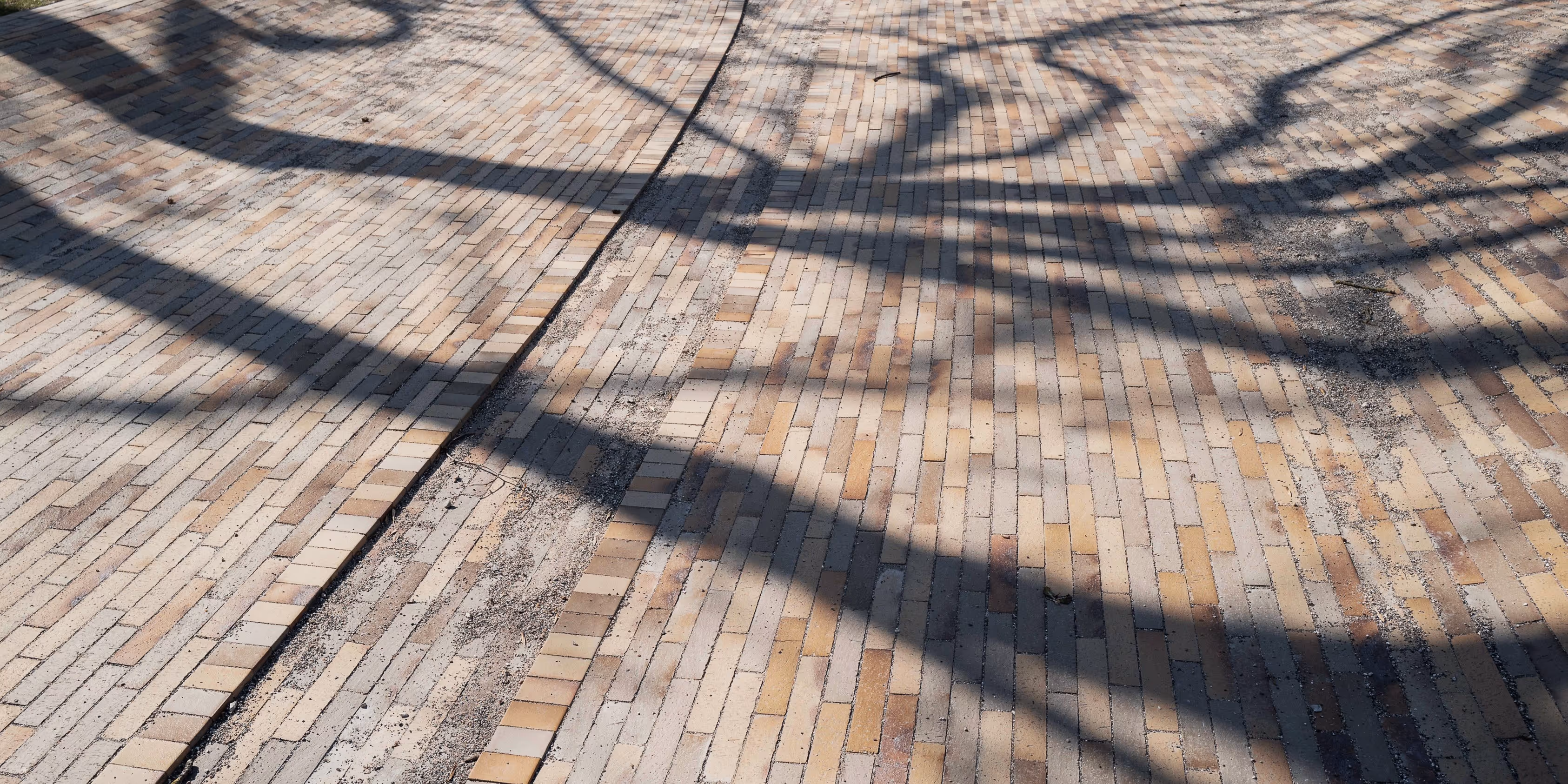 Foto: Carsten Ingemann