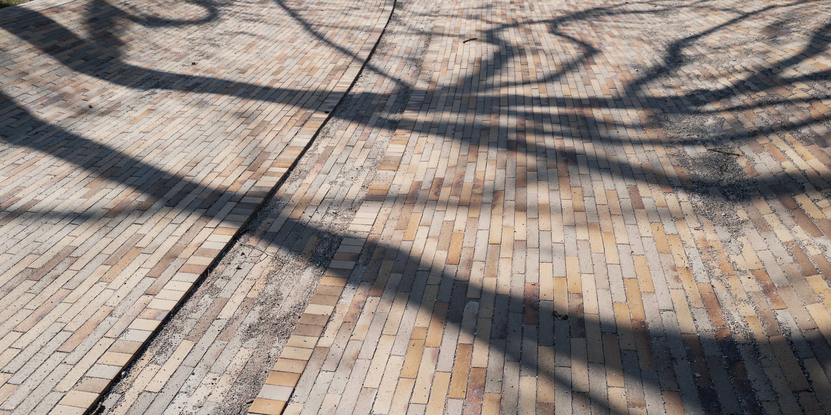 foto: Carsten Ingemann