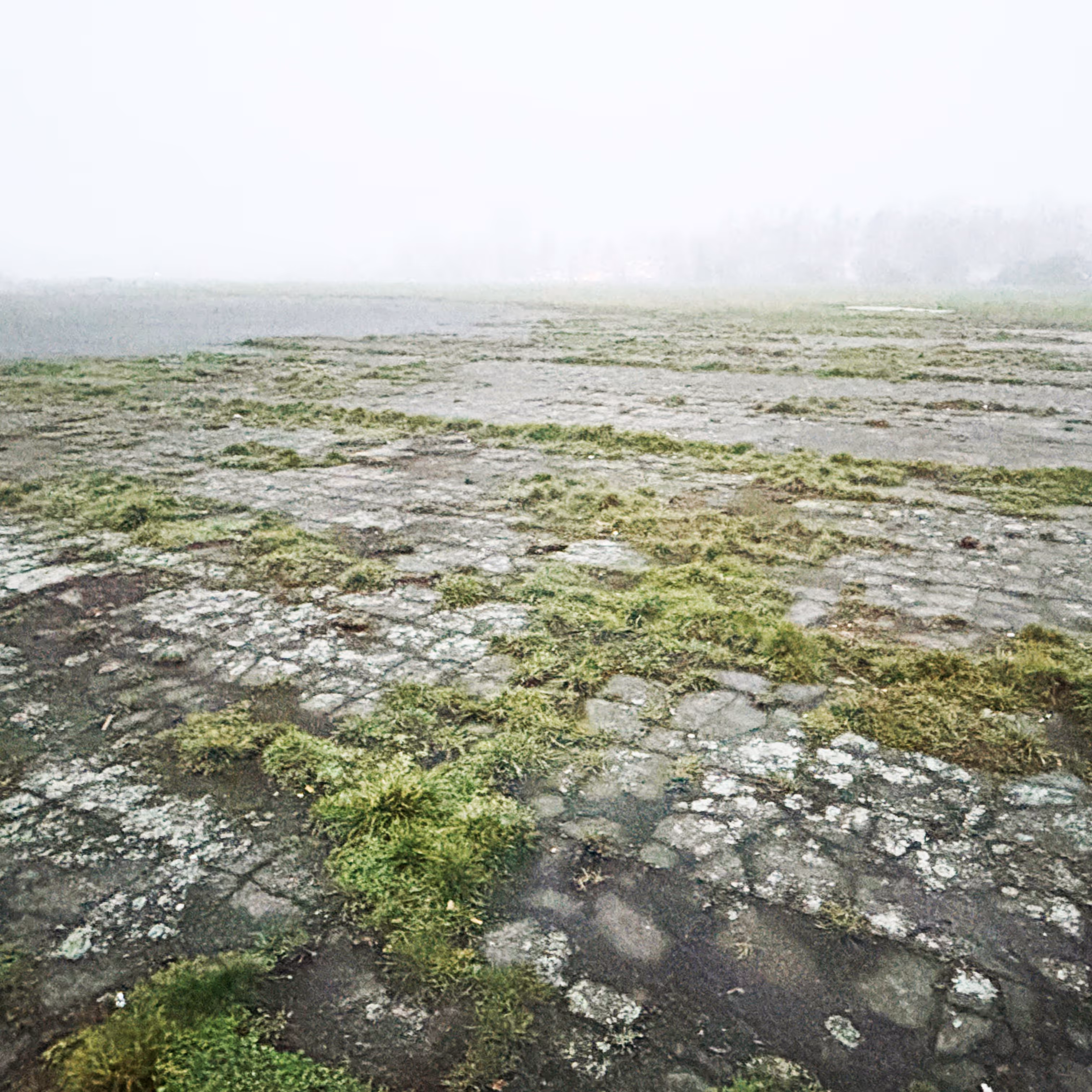 foto: Rikke Juul Gram