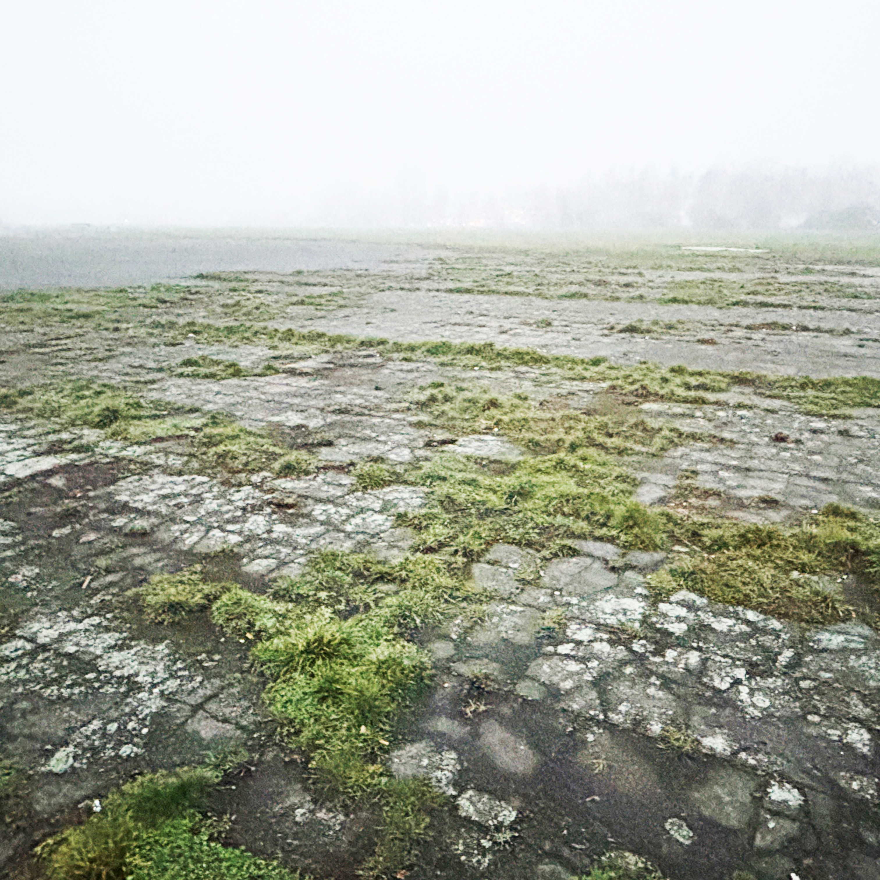 foto: Rikke Juul Gram