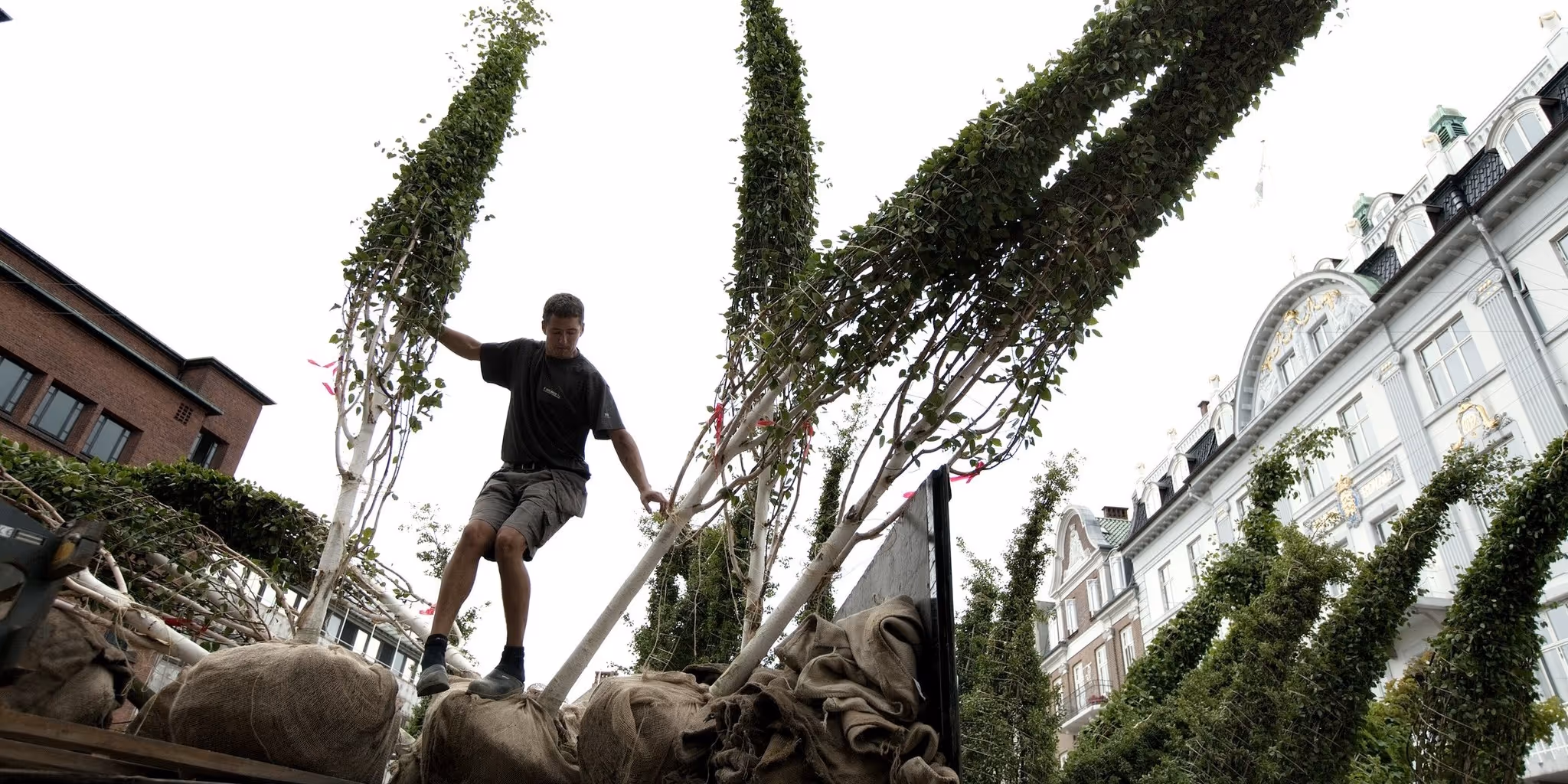 foto: Martin Dam Kristensen