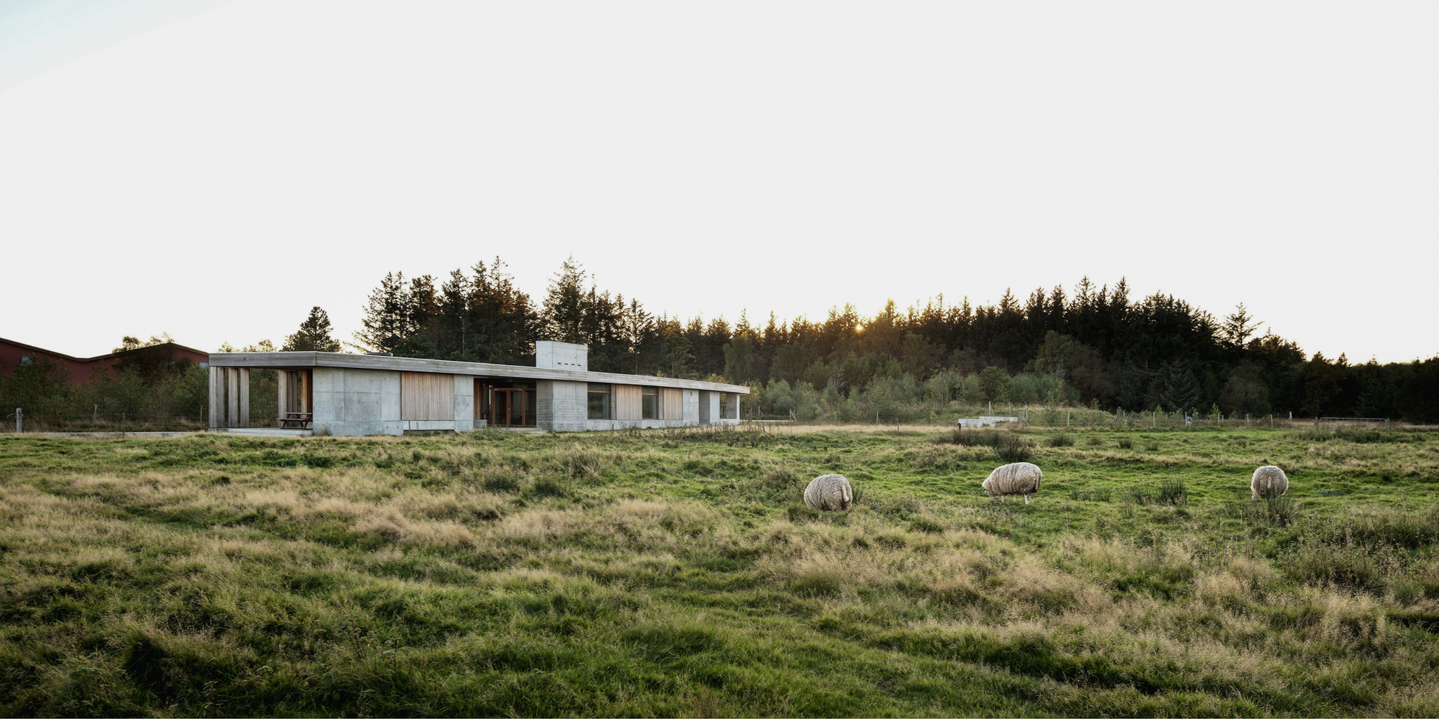 Photo: Martin Schubert