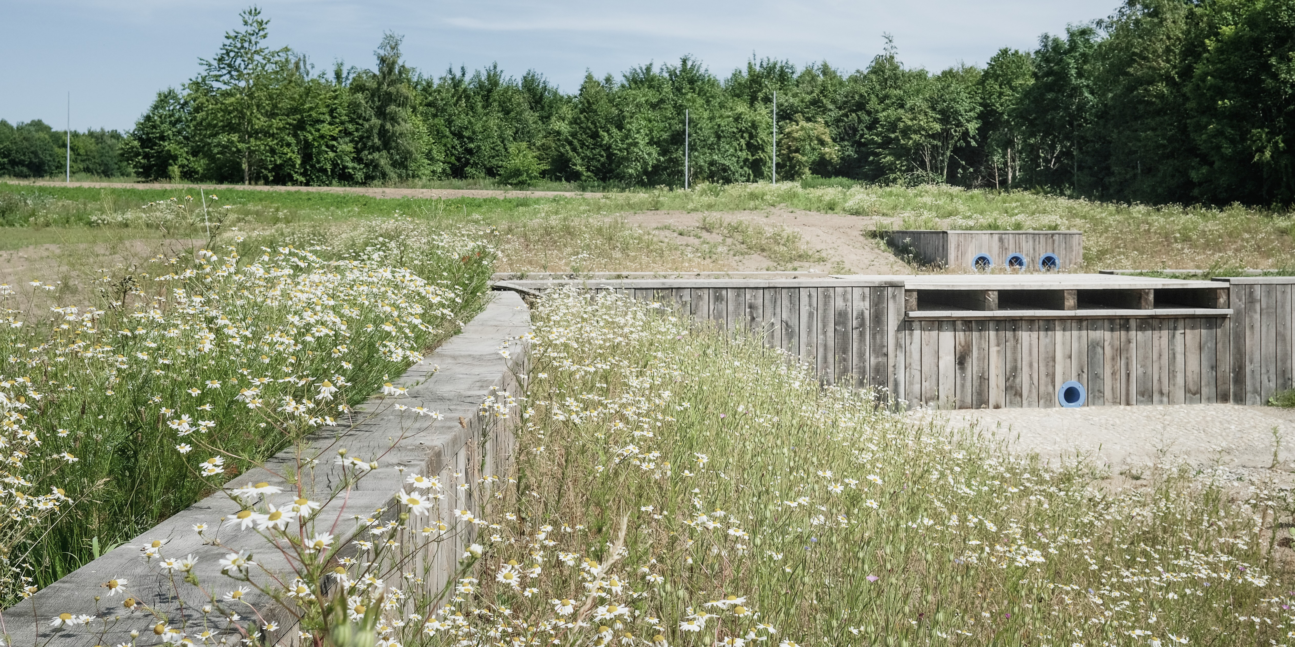 photo: Juan José Palma-Alvarez