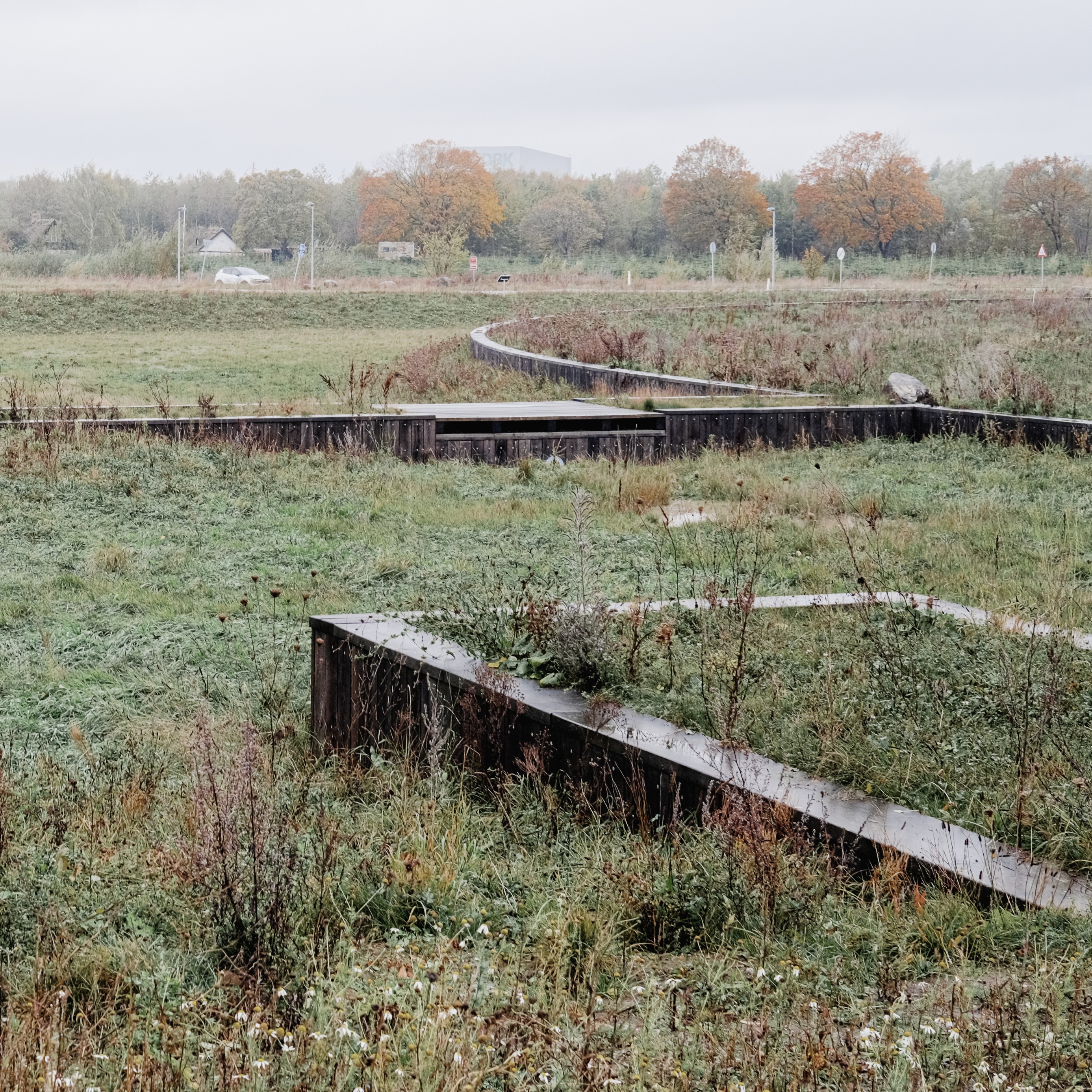 photo: Juan José Palma-Alvarez