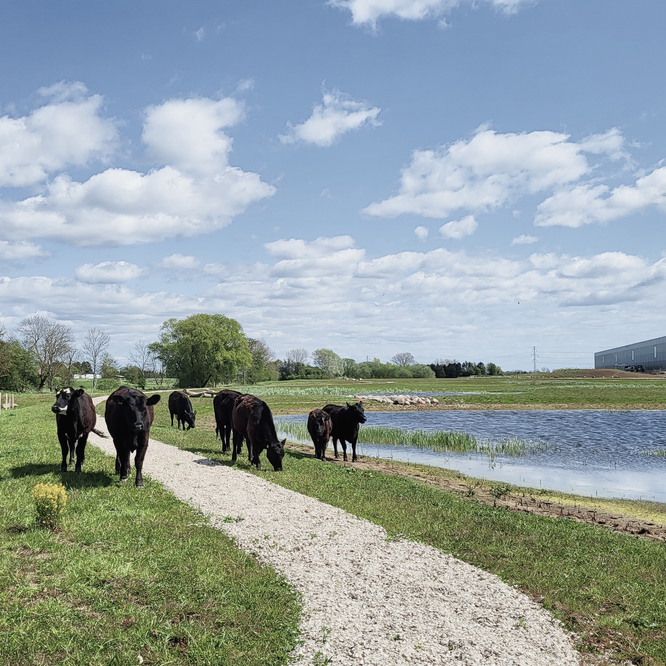 photo: KLAR Forsyning