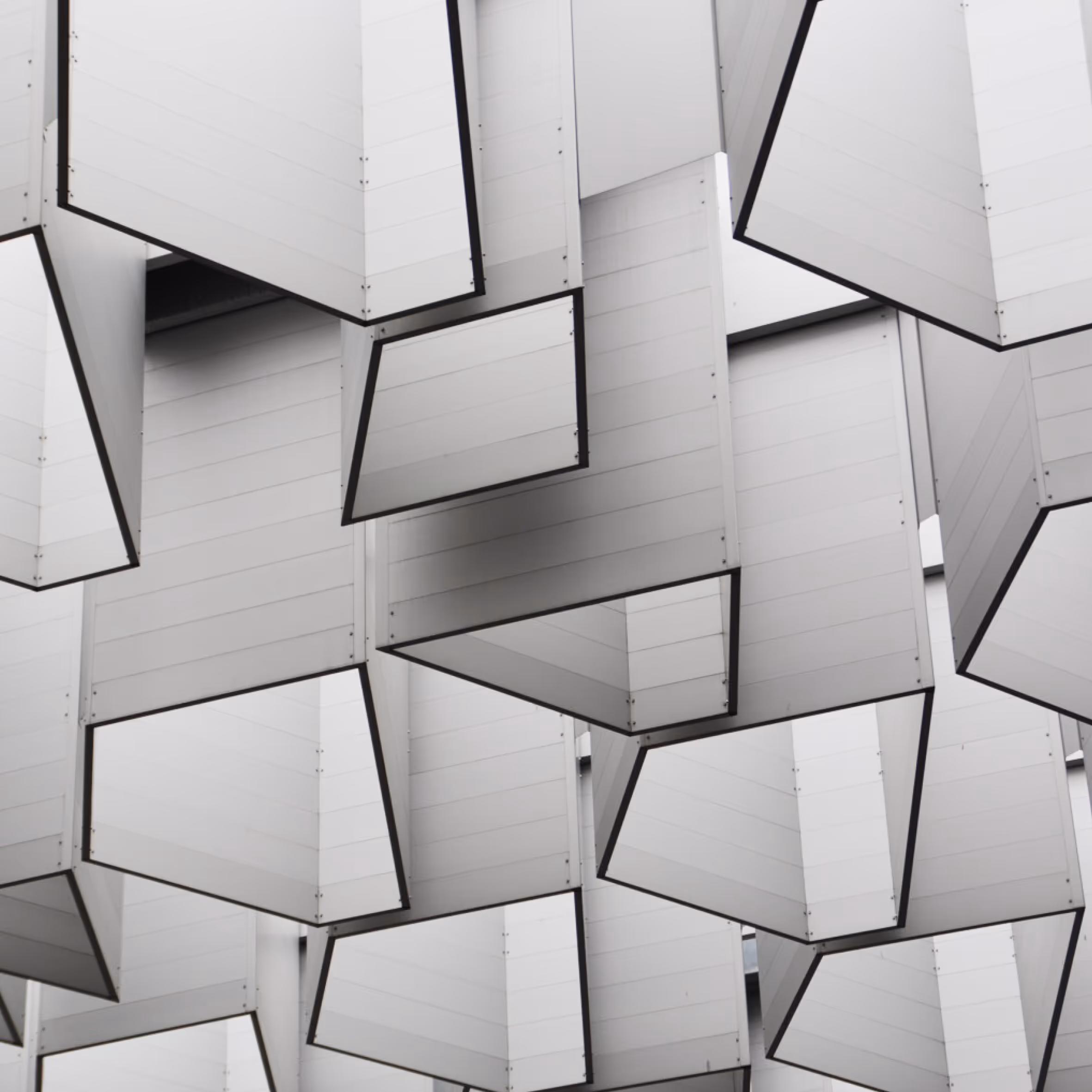 Photo: Juan José Palma-Alvarez