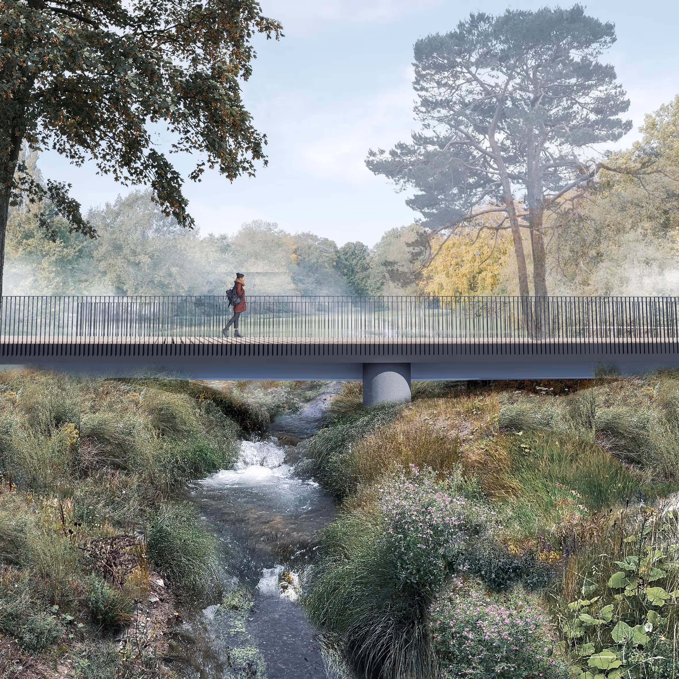 Visualisation: Schønherr