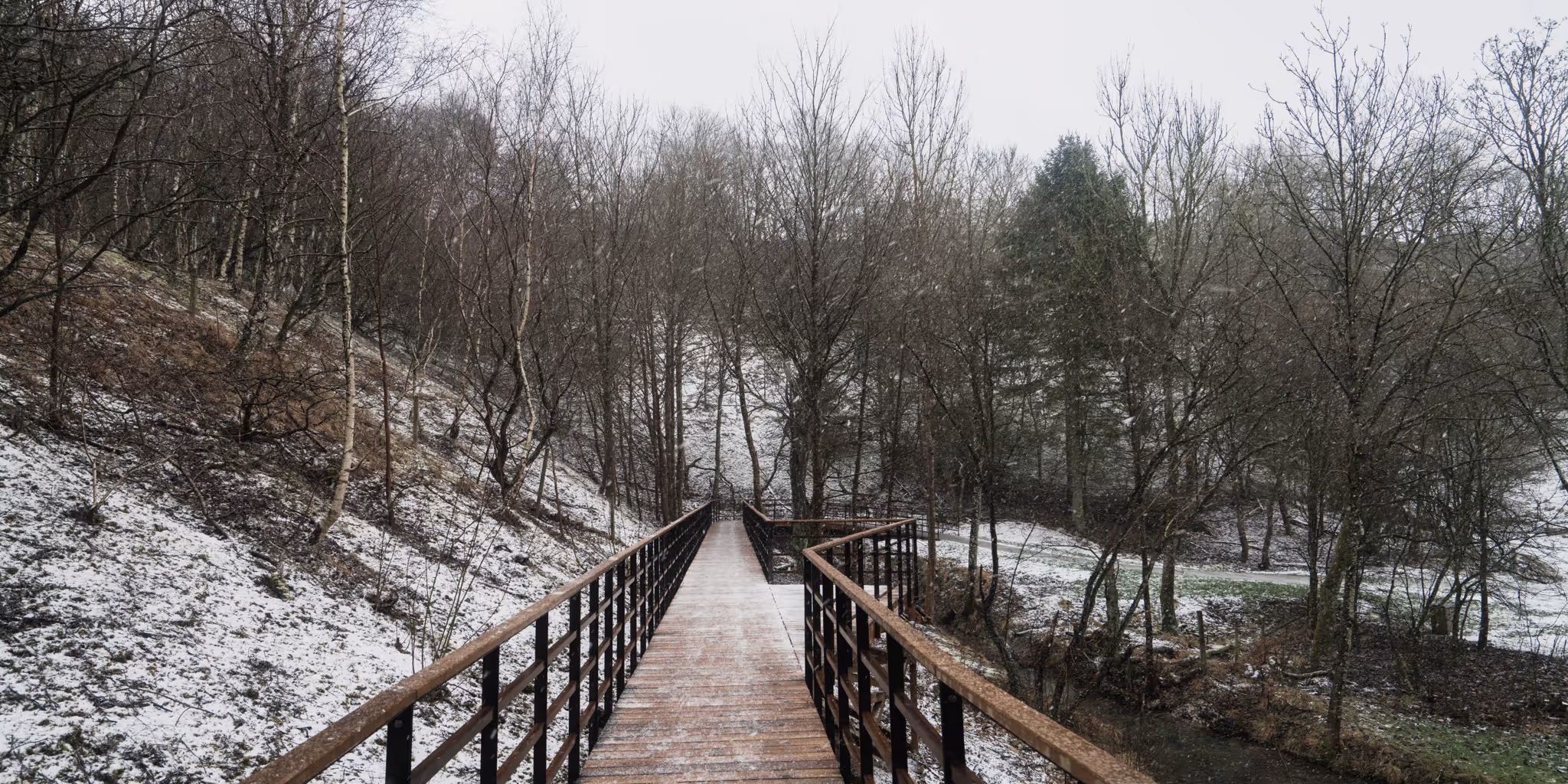 Foto: Carsten Ingemann