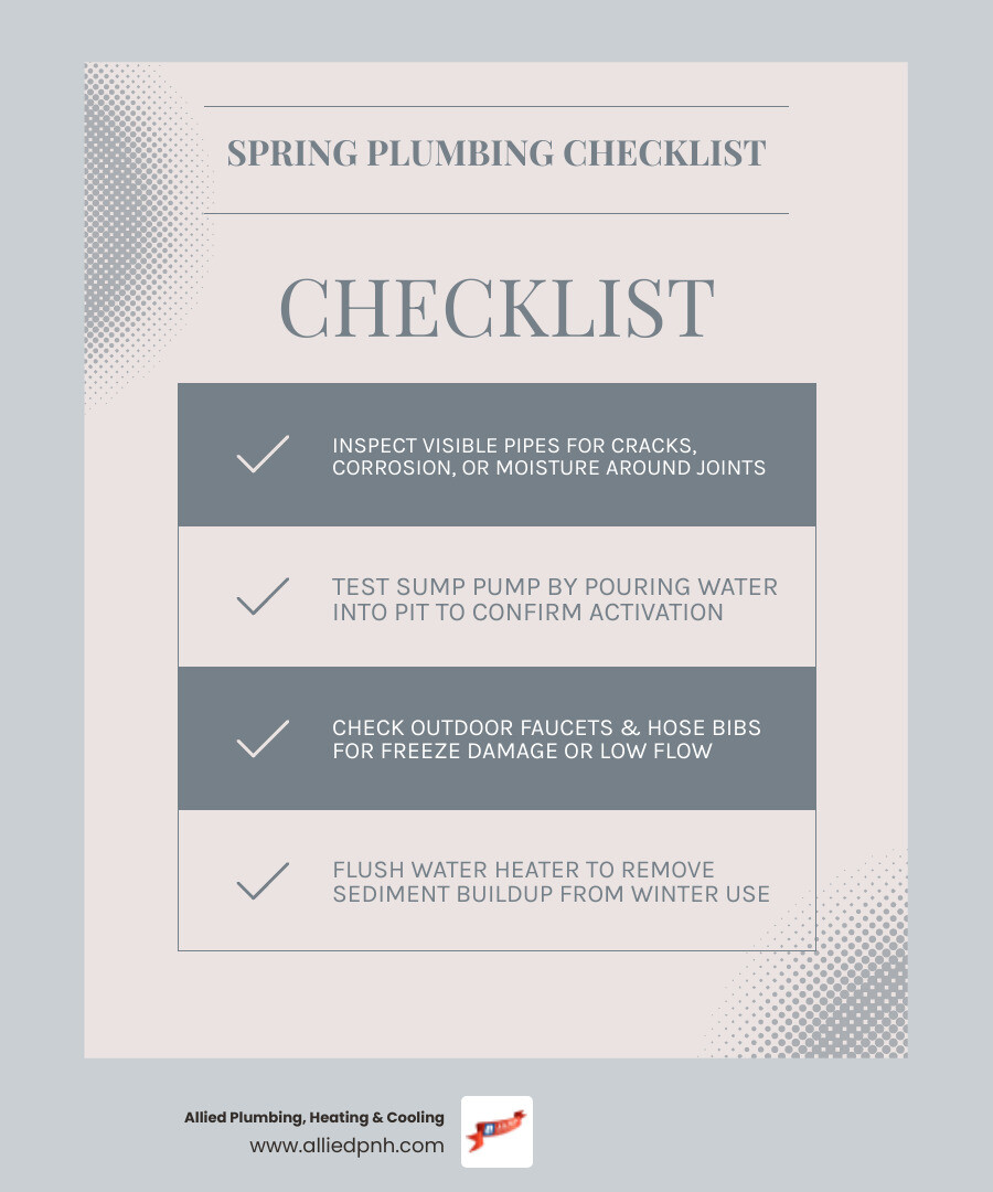Spring plumbing inspection checklist infographic for homeowners covering pipes, sump pump, water heater, and drains - spring