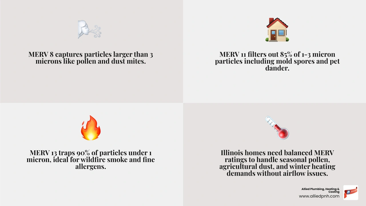 MERV ratings explained with particle sizes and Illinois allergen capture comparison infographic infographic