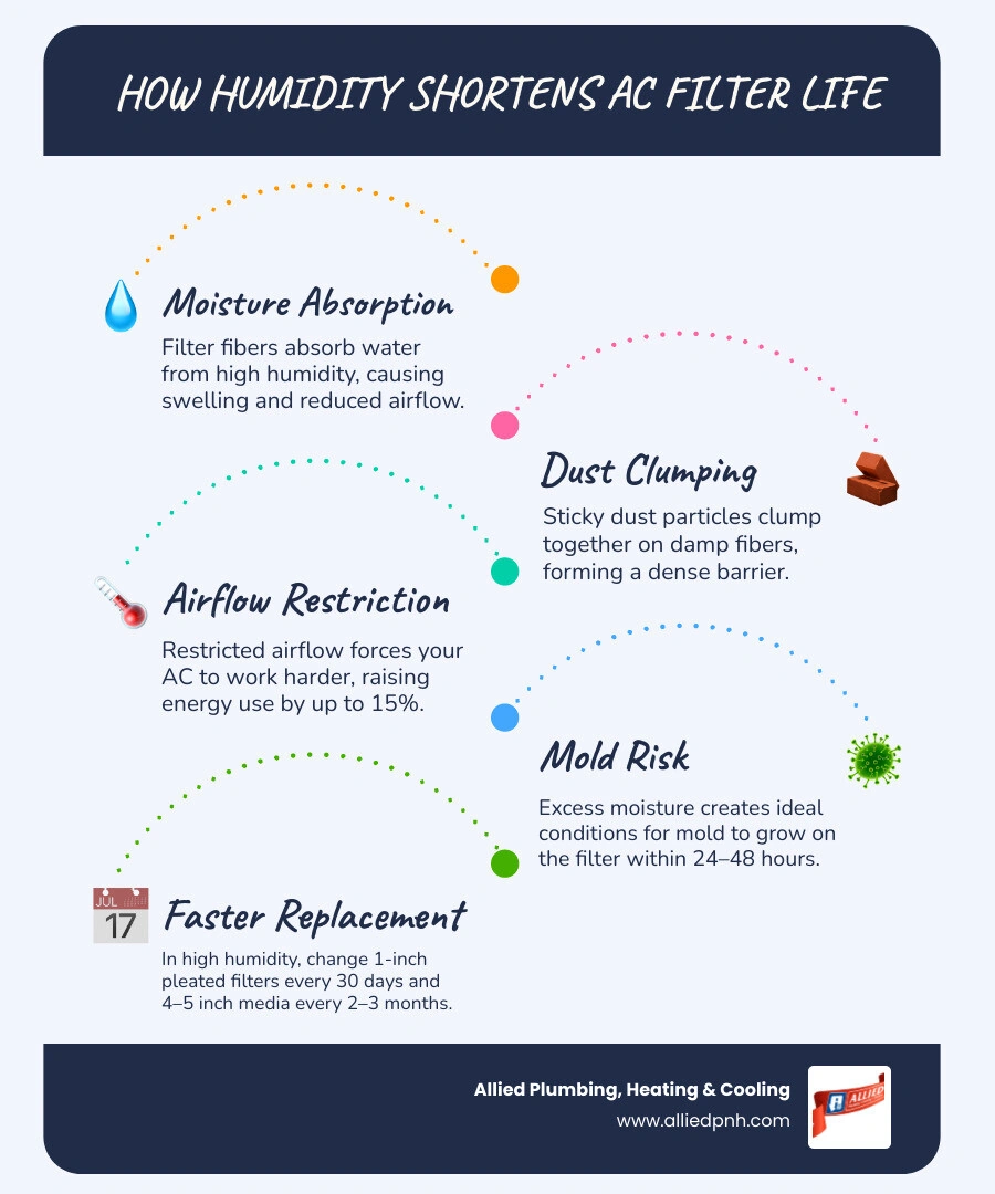 Infographic showing AC filter lifespan by humidity level, filter type, and household conditions infographic Infographic showing AC filter lifespan by humidity level, filter type, and household conditions infographic