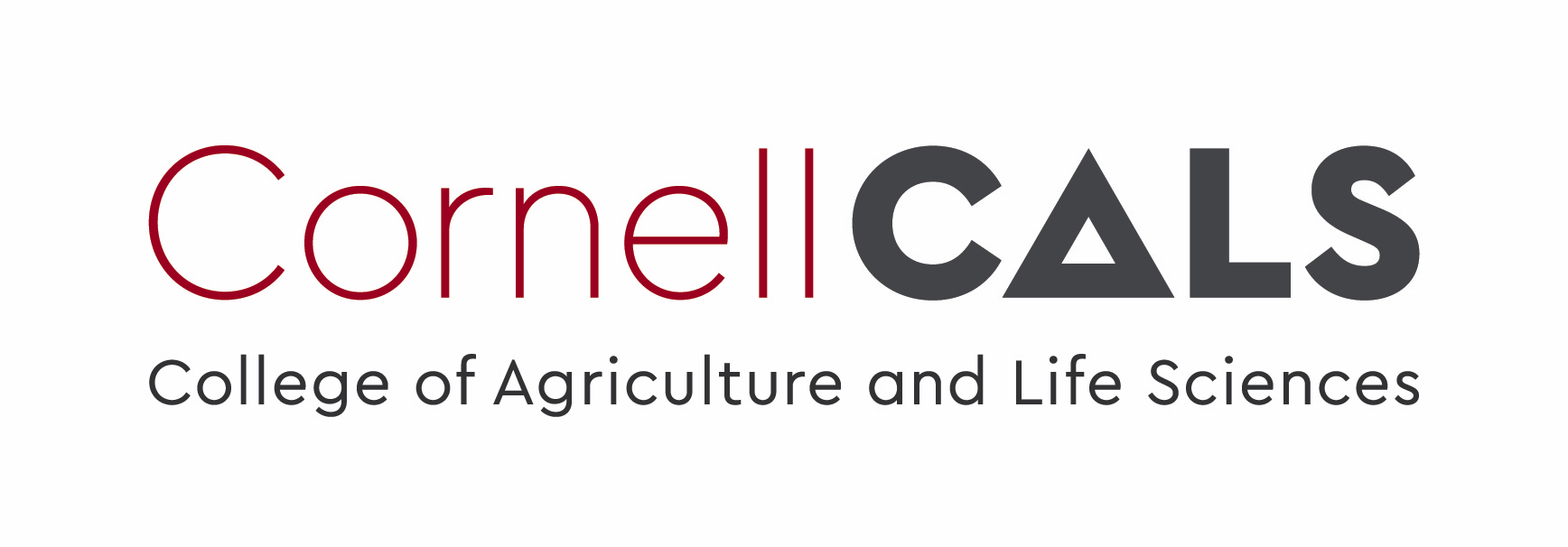Cornell University