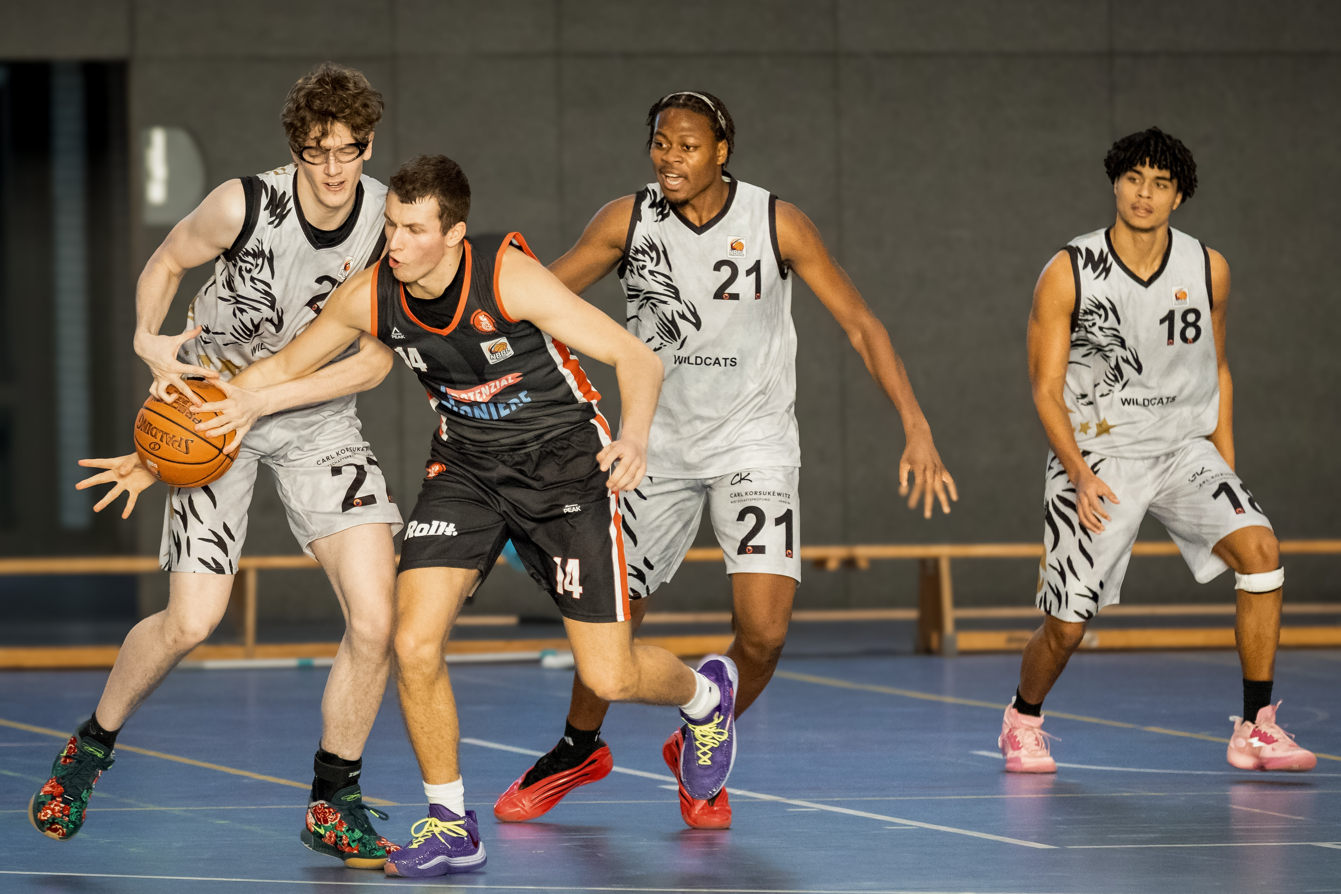 NBBL Wildcats vs Tg Hanau