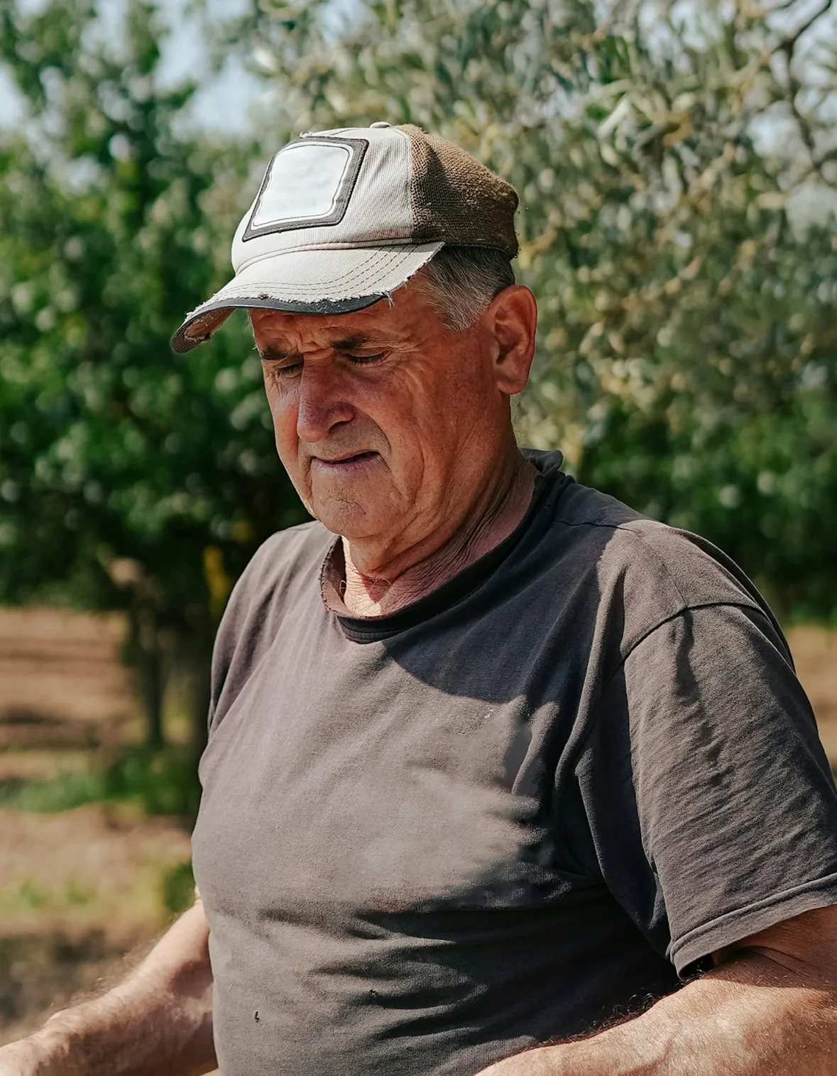 Agricultor de entre mediana y avanzada edad en un cultivo con el Sol de mediodía proyectándose sobre él y los ojos fruncidos por él. Lleva una gorra y tiene los brazos en L. Al fondo se ve un cultivo de árboles.