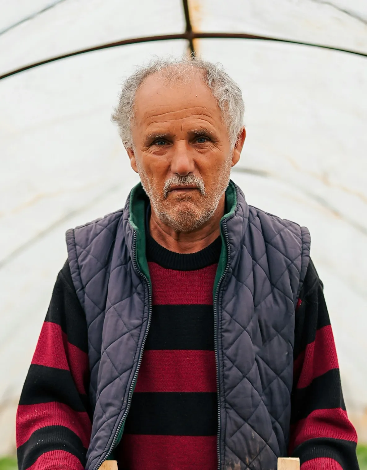 Agricultor con chaleco dentro de un invernadero sosteniendo una caja con sus productos agrícolas