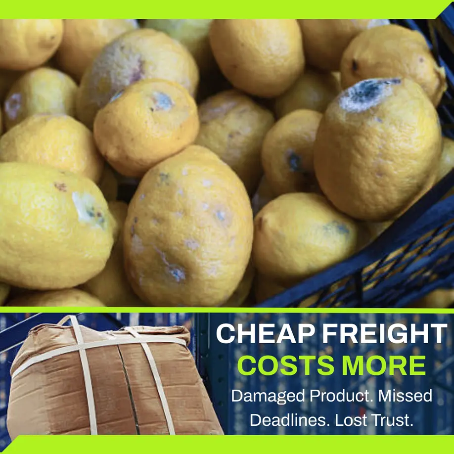 The Cost of Cutting Corners in Perishable Freight Shipping: Why “Cheap” Can Cost You More