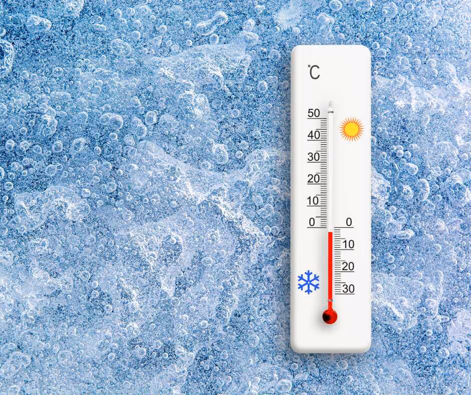 Chilling Efficiency: Mastering the Network of Reefer Carriers for Temperature-Controlled Shipments