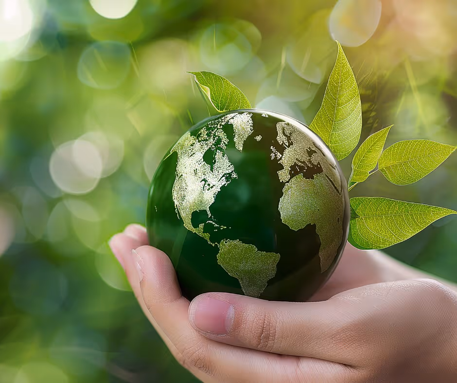 Driving Sustainability: How Autonomous Technology Transforms the Produce Supply Chain