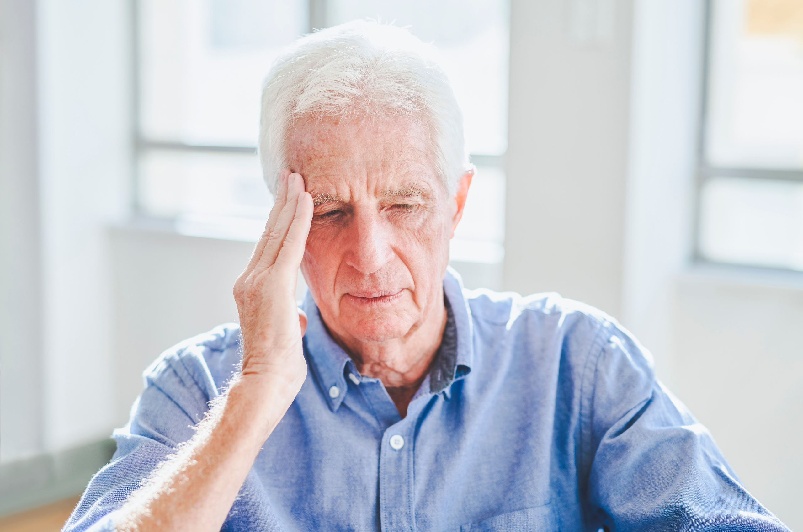 Does Stress Shrink Your Brain? Effects on Memory & Focus | Ivory
