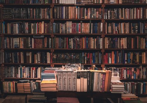book shelves loaded with books