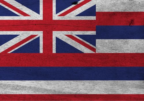 people taking a class