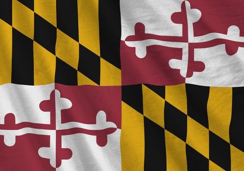 people taking a class