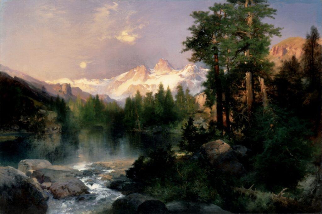 A river flowing through a forestDescription automatically generated