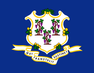 Connecticut state icon