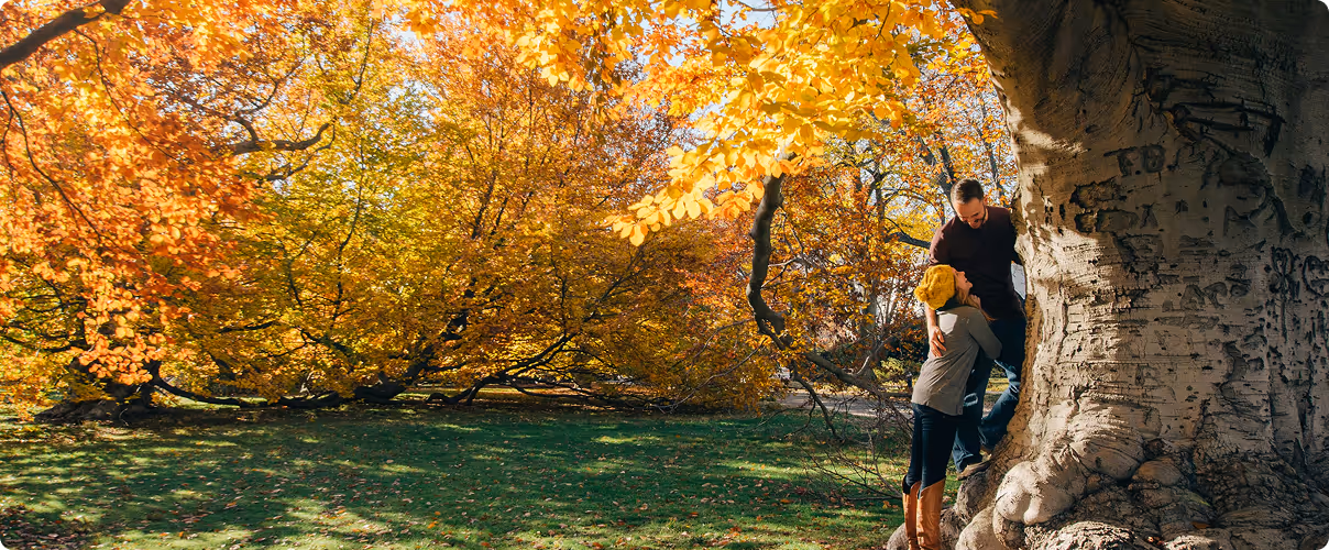 Couple embracing beside a large tree with bright orange and yellow autumn leaves in a sunlit park.
